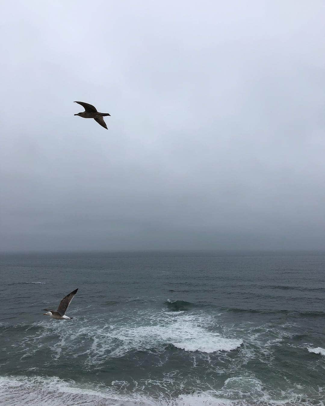 サラ・カルボネロさんのインスタグラム写真 - (サラ・カルボネロInstagram)「Maneras de encontrar la belleza en un domingo gris.  #yvolar #sinfiltros #lavidacercadelmaresvida #felizdomingo #Porto #slowlife」4月14日 19時08分 - saracarbonero