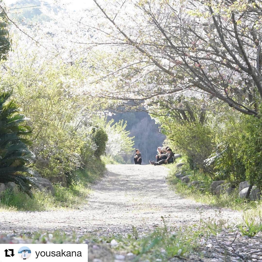 西条市のグルメインスタ