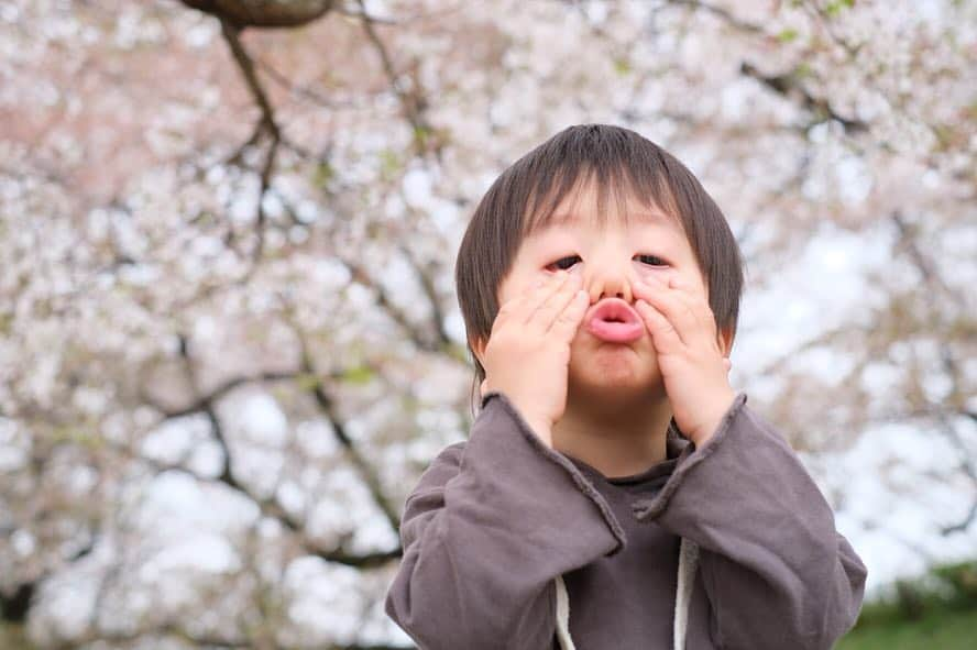 Ai.tさんのインスタグラム写真 - (Ai.tInstagram)「. 菜の花綺麗だったぁ🙆‍♀️❤️ . 葉桜も好き🌸風が吹くたびにひらひら花びらがまって幻想的でした🙆‍♀️🌸 . 今日から #FUJIFILM のミラーレス一眼 #xt30 で撮っていきます🙆‍♀️💓 . xt20すごく画質綺麗だったけど さすがそれ以上👏 色味もそれ以上💓 FUJIFILMのミラーレス一眼好きすぎていいところ永遠に語れる気がする😂🙌 複数より一枚のが画質いいけど記録しときたいの選べないから結局複数😂 . . 渚のパンツ @zarakids の104cmなんだけどもう小さくなった😂💓 でも可愛いから夏まで着れるかな？🤔 洋服のサイズって難しいよねー😂 . . 2019.04.14 #fujifilmxt30」4月14日 19時33分 - ngs.rky.kuy