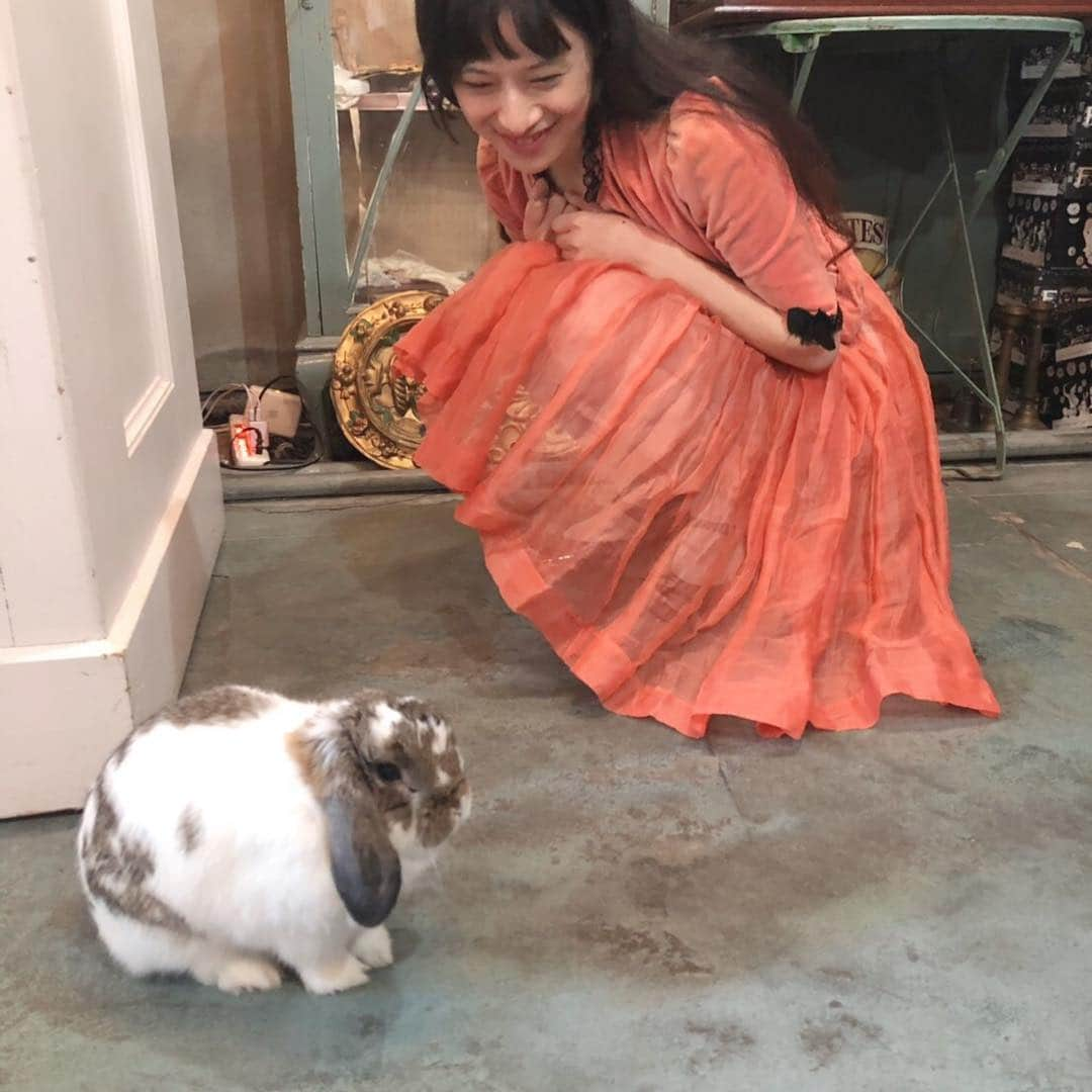 小藪奈央さんのインスタグラム写真 - (小藪奈央Instagram)「念願のビビちゃんをスーハーできました🐰🐰🐰🐰🐰🐰🐰🐰🐰🐰 本当に可愛いすぎる！ 遠くまで連れてきてくれてありがとうございます @hikaru_heart 💖💖💖」4月14日 19時40分 - nao_now