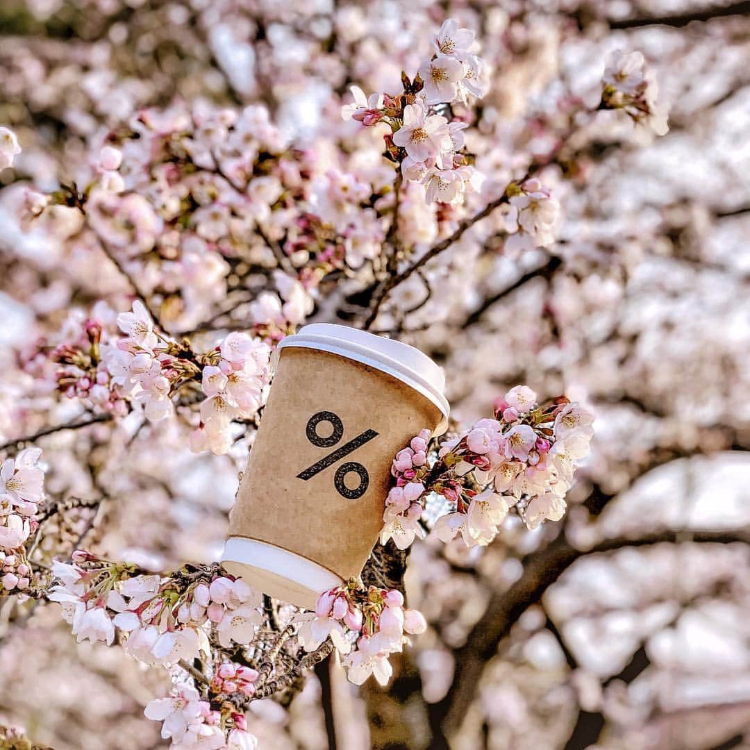 Yukicoのグルメインスタ