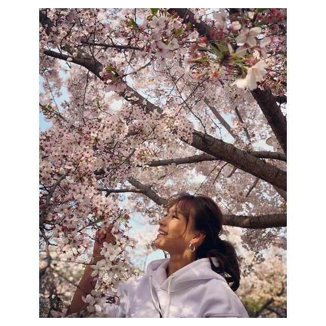 赤松悠実さんのインスタグラム写真 - (赤松悠実Instagram)「#お花見 🌸 完全にロスになってる #トゥルロマ キャストで 駆け込みお花見🌸❤️ 稽古づくめで花を愛でる暇もなかったので 予定の合うメンバーで、子供達も集まってワイワイ！ とか言いながら、結局ほとんどのメンバーが集結🍷 ポテサラやハムを持って行って現地で手作りサンド👏 好評でよかった🥰🍃 最終あだちさんのお家で飲み直し。 謎のアラジンの遊びでゲラゲラ笑ったりね。 何事にも全力な皆んなが大好き🤣❤️ #こちらトゥルーロマンス株式会社 #舞台 #花見」4月14日 19時44分 - akamatsuyuumi