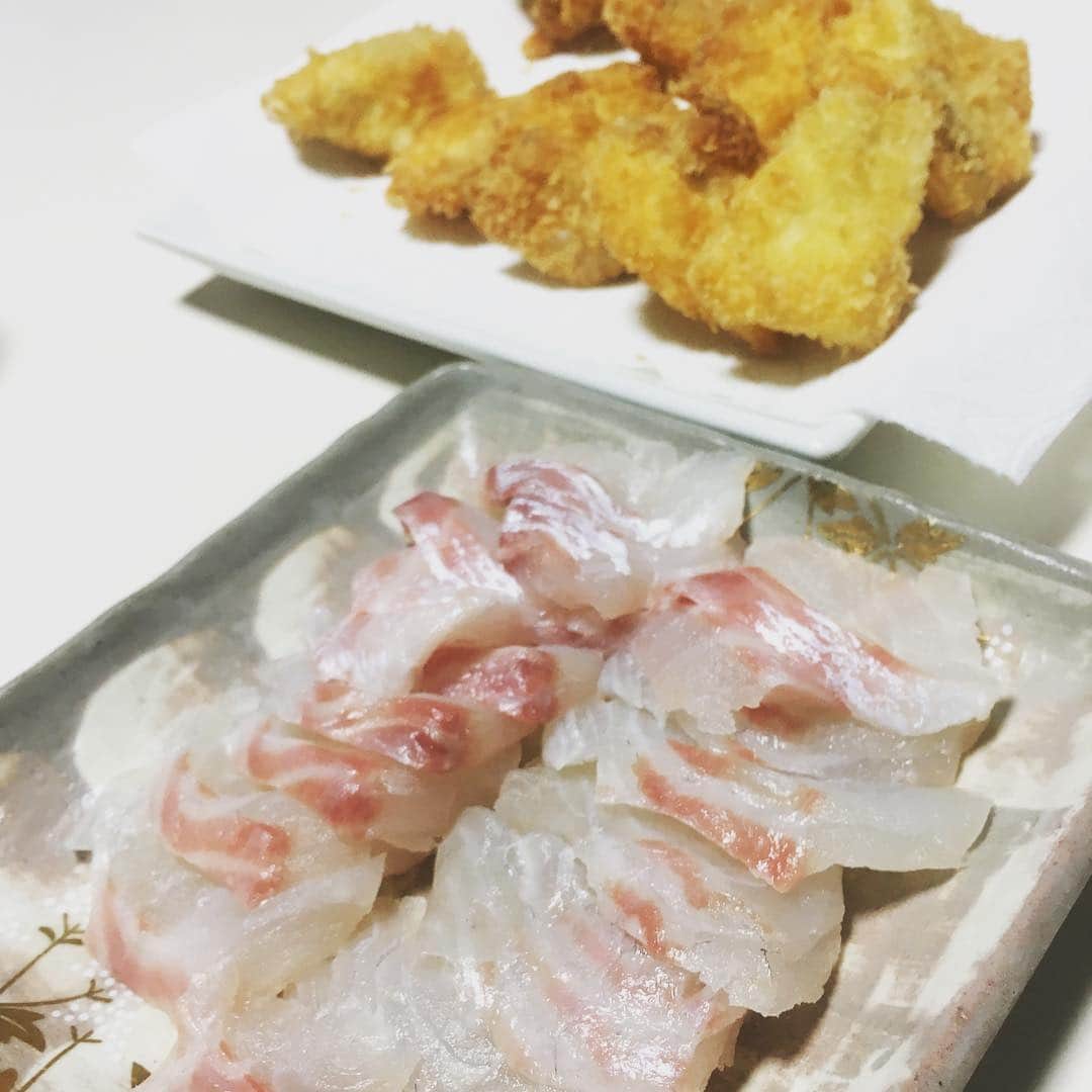 倉橋友和さんのインスタグラム写真 - (倉橋友和Instagram)「義兄と甥っ子が大漁〜🎣たくさんの#鯛 が釣れたので、#今夜のおかず は#刺身 と#フライ。#白身フライ は数あれど、初体験の鯛フライは脂乗りが別次元です😳 #釣り #福井県美浜町 #福井県 #メーテレ #アナウンサー #倉橋友和」4月14日 19時48分 - nbn_kurahashi