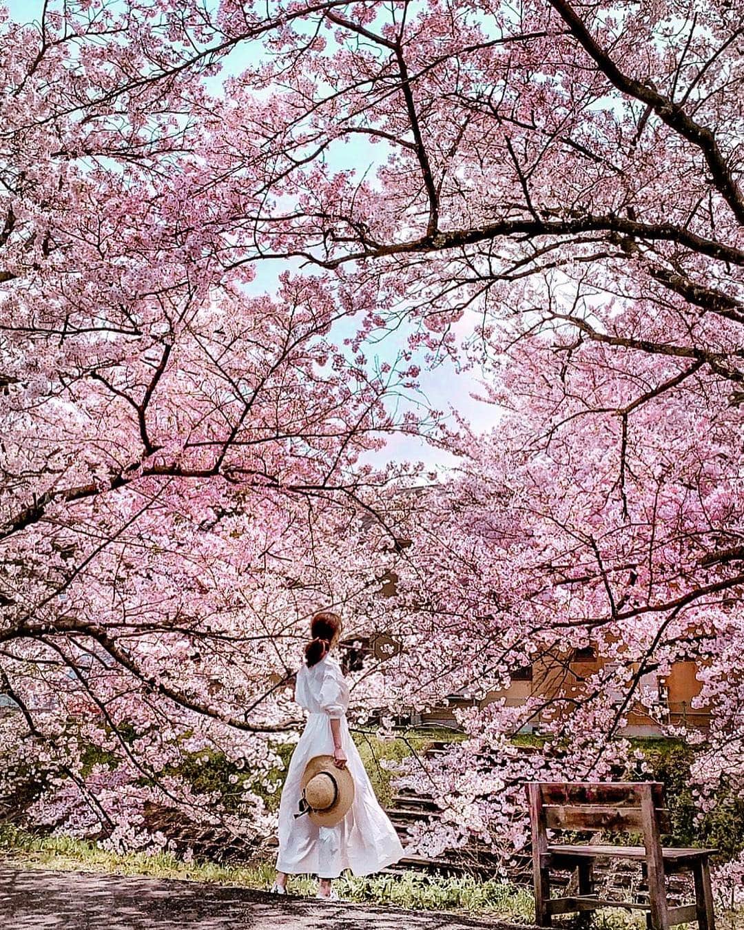 Yukicoさんのインスタグラム写真 - (YukicoInstagram)「✿𓂂𐬹⁎ . 名もなき処に 美しさを見出した桜❀︎𓂂𐬹 .  さて また明日からがんばりましょか♡ おやすみなさい𓇠𓇢𓇡 𓆸𓆸 ‥‥‥‥‥‥‥‥‥‥‥‥‥‥‥‥‥‥‥‥‥‥‥‥‥‥‥‥‥‥‥‥‥‥ #look#springfashion#springstyle#travelgram#traveller#wonderful_place#ig_photooftheday#special_shots#best_photogram#streetphotography#street#churchs#sakura#cherryblossom#kyotosightseeing#japansightseeing#tetsugakunomichi#kyototrip#cherryblossoms#bloom#flower_perfection#お花見コーデ#お花見#桜巡り#桜#桜満開#ゆるほわ倶楽部#さくら倶楽部#さくら倶楽部2019#さくらテロ2019」4月14日 20時04分 - yukicolifecom