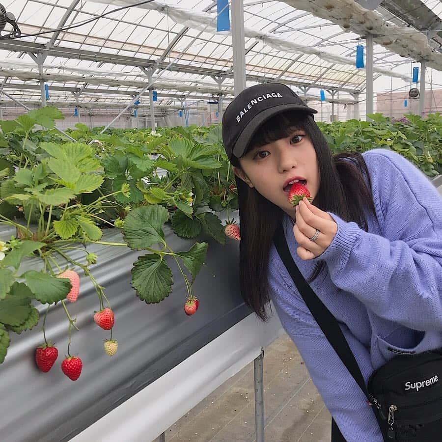 中町綾のグルメインスタ