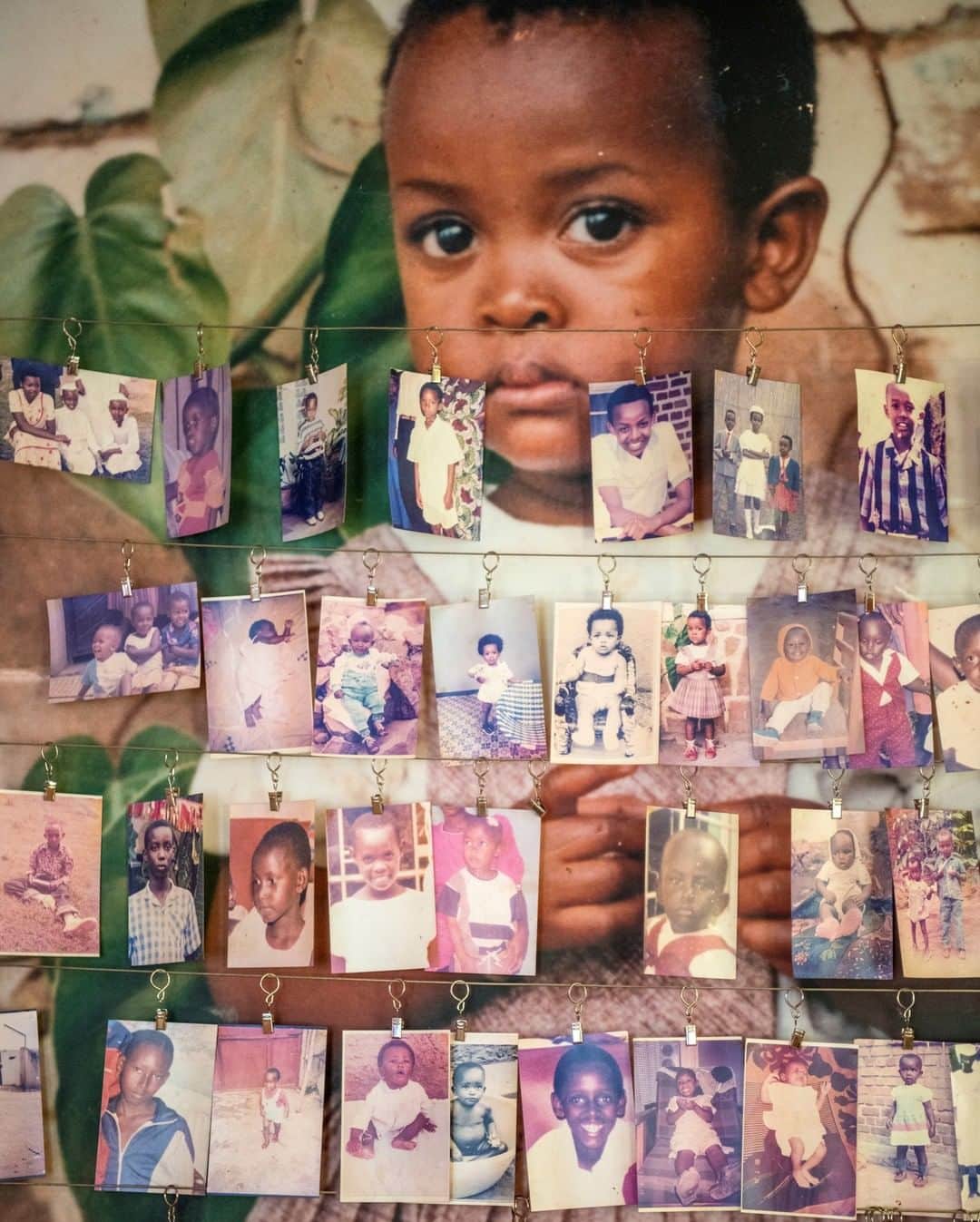 ナショナルジオグラフィックさんのインスタグラム写真 - (ナショナルジオグラフィックInstagram)「Photo by @amivitale | Faded photographs hang from wires inside the Kigali Genocide Memorial (@kigali_memorial) in Rwanda. They display the awkward poses of men and women of modest means who perhaps possessed only this one image of themselves, taken years before their murders. Children are pictured with a favorite sport, favorite drinks (milk and tropical Fanta), the name of a best friend. Then come the skulls, many with the marks of machetes. The memorial describes the events leading up to April 7, 1994, when extremists from the Hutu ethnic majority sought to exterminate an entire minority group, the Tutsi. During a hundred days, they killed an estimated 800,000 people, mostly Tutsi but including Hutu moderates too. Ordinary citizens targeted neighbors, even relatives (intermarriage was not uncommon). Hutu and Tutsi shared a language, a culture, and strong Christian beliefs in most cases. Even when Tutsi sought refuge in churches, they were massacred; some priests and nuns took part. After three months, a rebel force led by Tutsi exiles ousted the regime, halted the genocide, and took power.  Since the genocide, Rwandans have worked steadily to heal and renew themselves and their country in the years after the genocide, sewing seeds of hope for the future along the way. This week, the nation began a 100-day mourning period in honor of the 25th anniversary of the genocide. For more stories of hope and renewal, follow @amivitale @thephotosociety #rwanda #rwandangenocide #healing」4月14日 20時02分 - natgeo