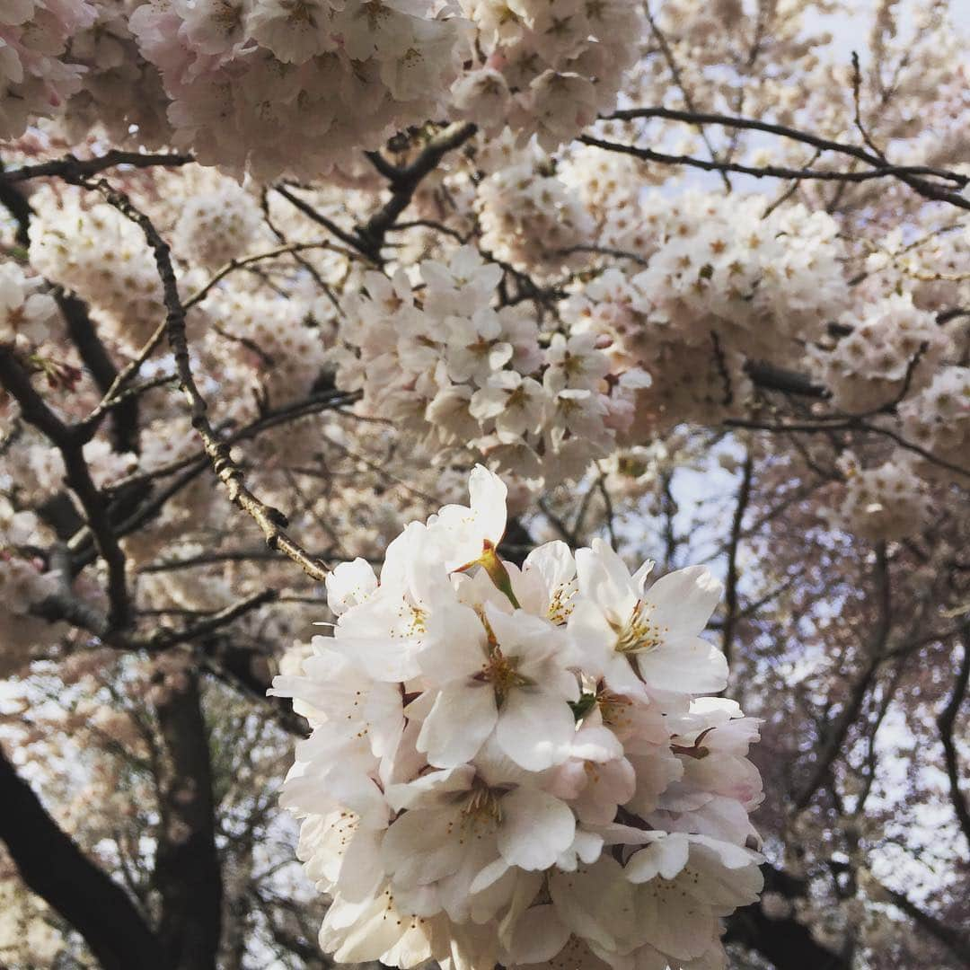 大森美希のインスタグラム