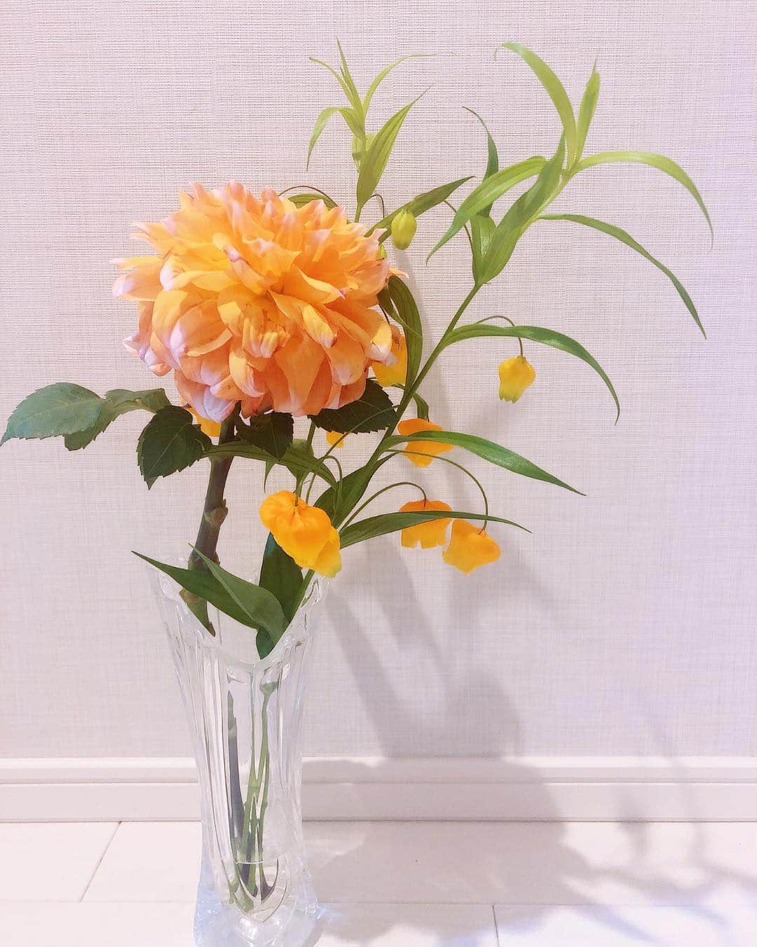 のインスタグラム：「﻿ ﻿ 存在感ある花代表のダリア。﻿ そして、﻿ 提灯みたいな花をつけてるのは﻿ サンダーソニアという名前らしい⚡️﻿ ﻿ 魔法とか技の名前みたいでかっこいい…🧙‍♀️🔮✨﻿ ﻿ ⚡️⚡️⚡️﻿ ﻿ ﻿ #ダリア #サンダーソニア #生花 #花のある暮らし ﻿ ﻿」