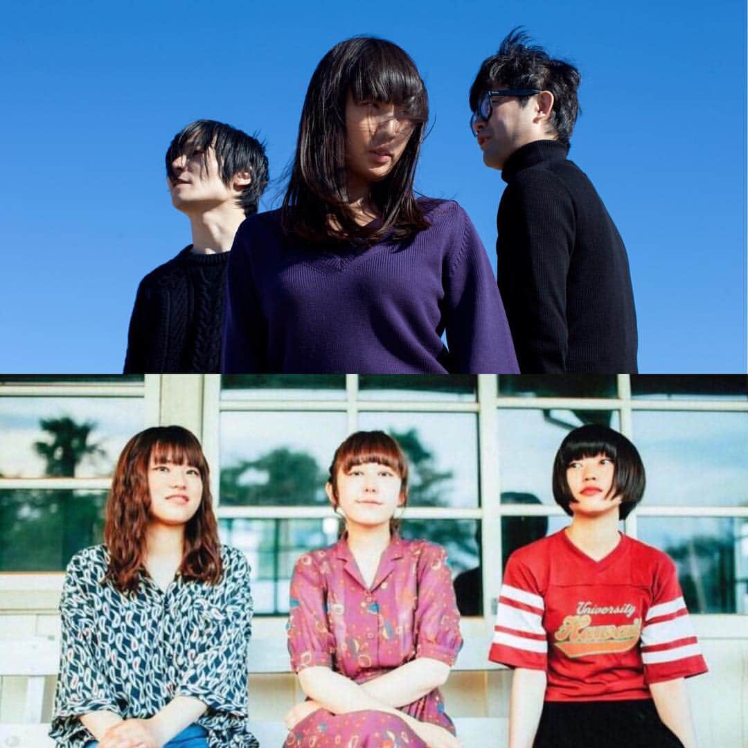 宮本菜津子さんのインスタグラム写真 - (宮本菜津子Instagram)「✋⚠️ NOTIFICAITION ⚠️✋ - 本日、HEAVEN'S ROCK Utsunomiya 2/3での公演はチリヌルヲワカVo&Gtユウさん喉の不調による出演キャンセルのため、Lucie,TooのみなさんとわたしたちMASS OF THE FERMENTING DREGSのツーマンでの開催となります。チリヌルヲワカのみなさまからのコメント、払い戻しに関しては2枚目3枚目の画像をご覧ください。よろしくお願いします！ユウさんの喉、早く良くなりますように・・⭐️ - Today's show will be held by Lucie,Too and MASS OF THE FERMENTING DREGS. *The performance of Chiri Nuru Wowaka has been canceled due to Yu-san's throat problems. - #massofthefermentingdregs #motfd #マスドレ #チリヌルヲワカ #lucietoo」4月14日 11時51分 - natsukondesu