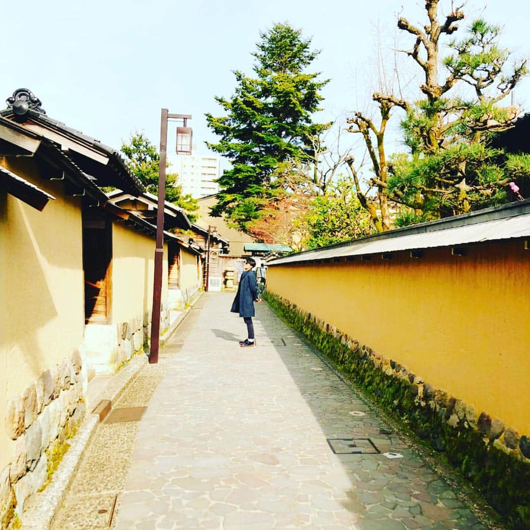 堤太輝さんのインスタグラム写真 - (堤太輝Instagram)「石川県金沢へ 石川県住みます芸人ぶんぶんボウルのライブゲスト🎙 皆様ありがとうございました。 また来たいな♪ #石川県 #石川県金沢 #金沢市 #長町武家屋敷 #どりあんず堤と長町武家屋敷 #金沢ランチ #グリルオーツカ #ハントンライス #長町武家屋敷跡 にて #ジョイマン 高木をインスタ映えさすw #kanazawajapan  #japanesefood #samurairesidence #cherryblossoms #일본 #이시카와현 #가나자와시 #점심식사 #오므라이스 #벚꽃」4月14日 11時53分 - 223_taiki