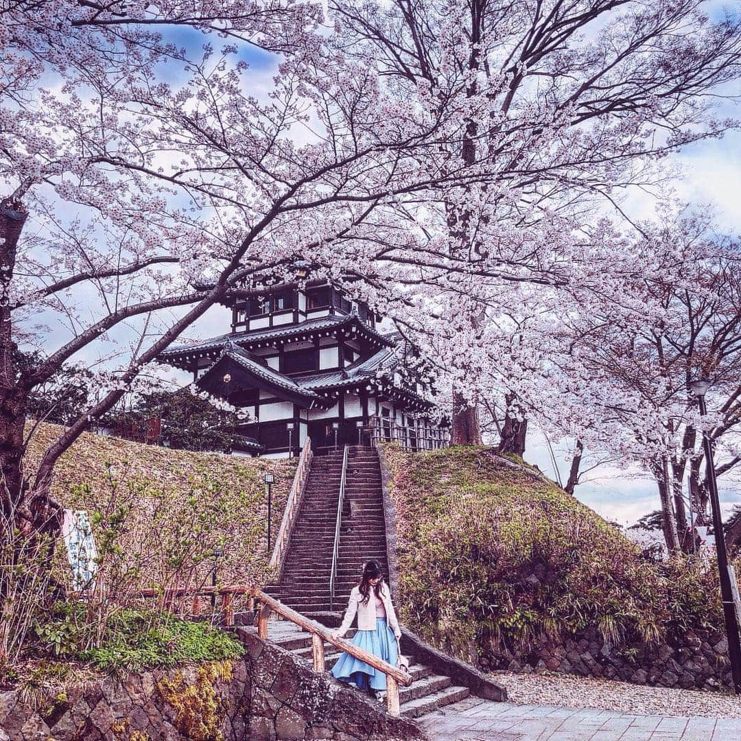 清水彩子さんのインスタグラム写真 - (清水彩子Instagram)「桜の季節🌸  #高田公園#新潟#上越市 #高田城#お花見#🌸 #懐かしい場所 #新潟さんぽ🌸」4月14日 11時59分 - ayakosugar