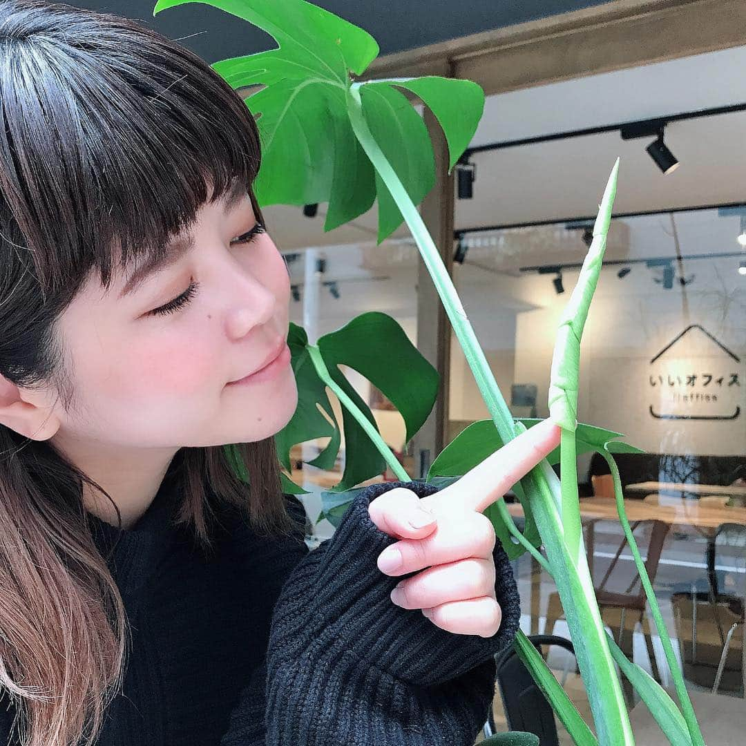 いいオフィスさんのインスタグラム写真 - (いいオフィスInstagram)「・ ・ モンステラの新芽🌱🌱🌱 可愛い❤️ これが徐々に開いていくなんて面白いですね！！ いいオフィス上野にある【PORT】というセレクトショップの売り物ですが、育ててきた分愛着が。。これが母性ってやつですか？ ・ #モンステラ #観葉植物 #植物 #母性 #いいオフィス #上野 #新御徒町 #コワーキングスペース #シェアオフィス #イベントスペース #officelife」4月14日 12時02分 - e_office_ueno