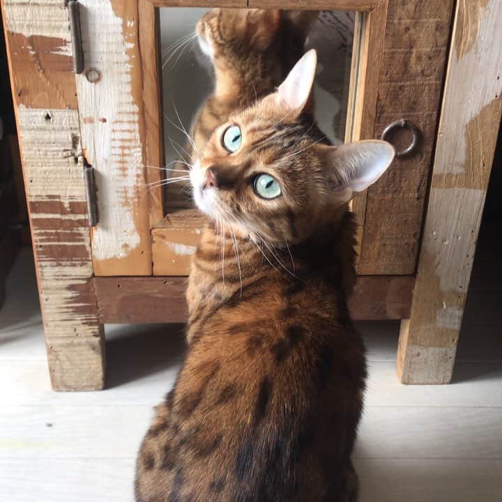 なつこのインスタグラム