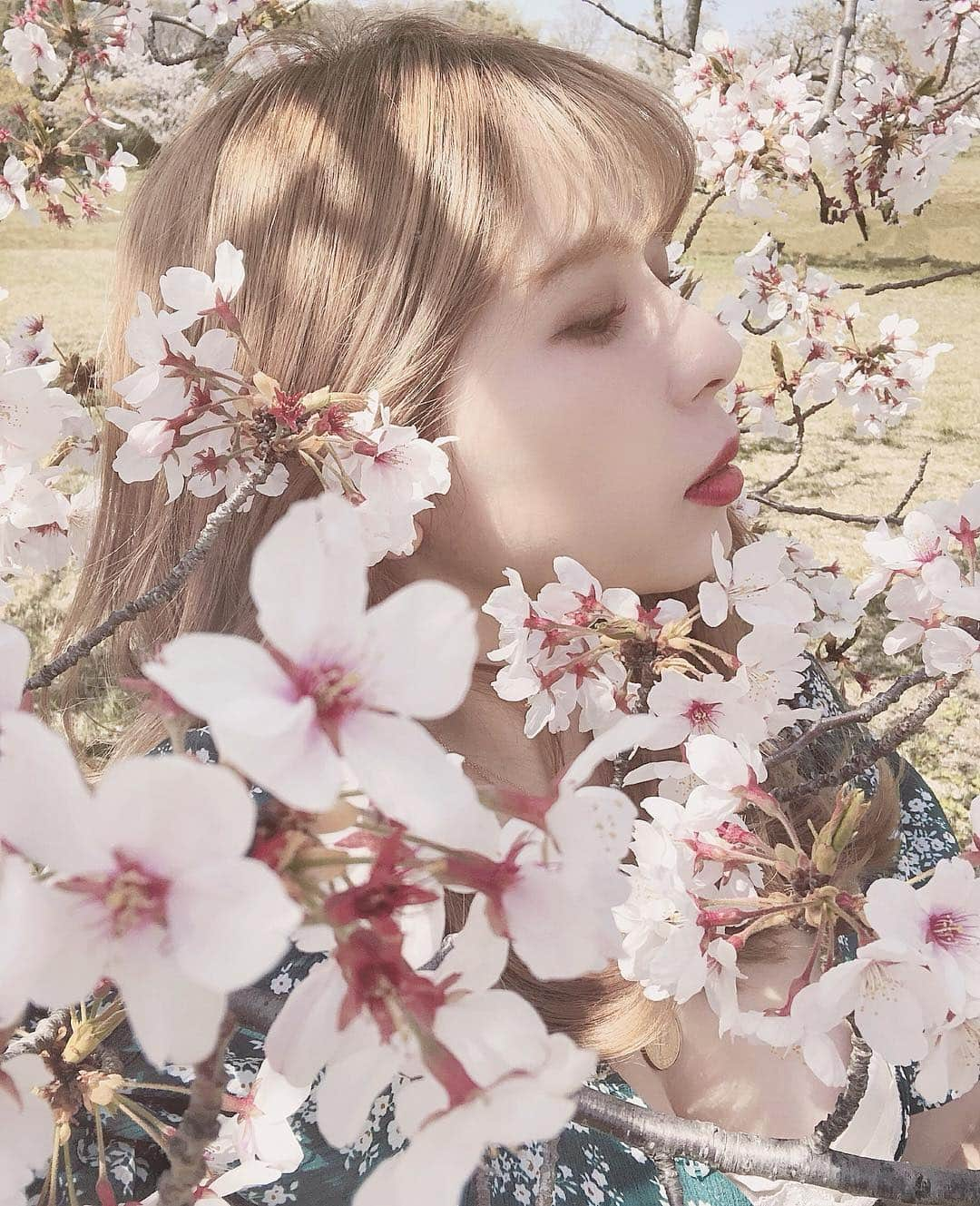 puinpiさんのインスタグラム写真 - (puinpiInstagram)「♡ ： お花見って、 すごく贅沢な時間だといつも思う。 ： ： #Pui#Puishop#桜#お花見#花見#赤リップ#ミルクティーカラー#お花のある暮らし#花柄#メイク#ぷぃメイク#外国人風カラー#花柄ブラウス#ピクニック#プイ」4月14日 12時20分 - puinpi