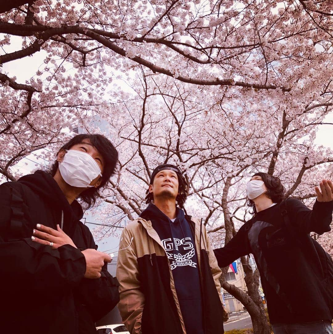 難波章浩さんのインスタグラム写真 - (難波章浩Instagram)「水戸の桜川  #NAMBA69」4月14日 12時33分 - akihironamba