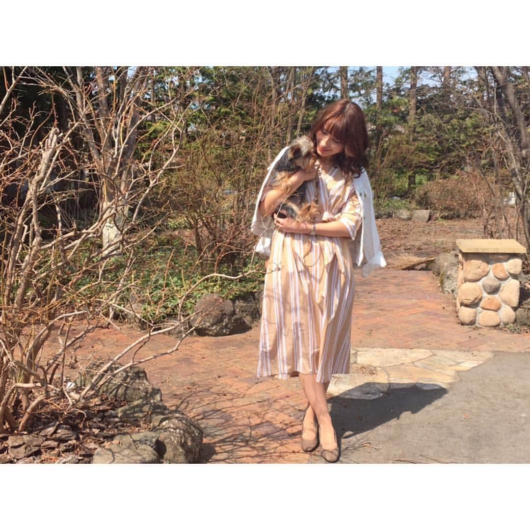 澤田愛美さんのインスタグラム写真 - (澤田愛美Instagram)「. ぽかぽか！春だね〜 そしてすーちゃんはかわいい。💘 .  #犬のいる暮らし #ヨーキー」4月14日 13時14分 - amy____oxox