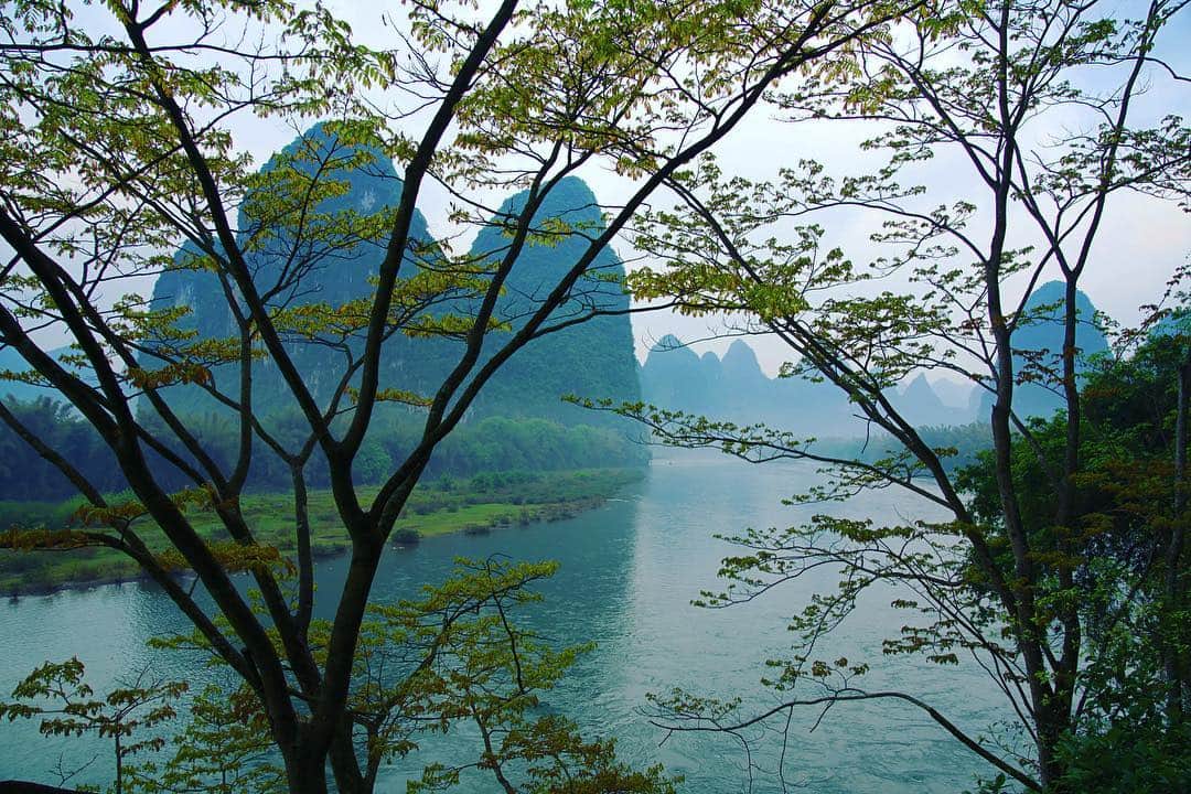 Michael Yamashitaさんのインスタグラム写真 - (Michael YamashitaInstagram)「Spring green on Li River, another favorite subject of the artist Wu Guanzhong, father of modern Chinese painting. This prolific painter seems to have painted every  iconic beauty spot in China from Guilin to the Great Wall. My good fortune to be following in his footsteps. #wuguanzhong #liriver #yangshuo #guilin @natgeo.media @natgeochina」4月14日 13時09分 - yamashitaphoto
