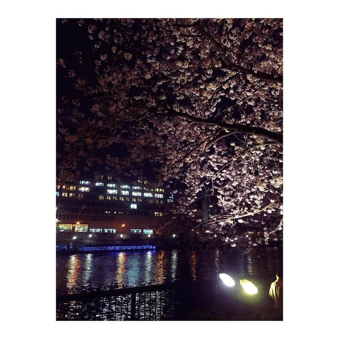岡田梨沙さんのインスタグラム写真 - (岡田梨沙Instagram)「久しぶりにひとりで大阪泊。満喫。  花ちゃんライブを友達ミュージシャンたちが見にきてくれたので、そのままそのみんなで天満橋でお花見🌸  大阪でお花見したのはじめて！ めっちゃ楽しかった！ ライトアップもされてて、人もそんなにいないし、心地よいちょうど良い。 こうやって少し離れたところに頼りになる友達がいるって嬉しいことだなとしみじみ。  そして今日のランチは久しぶりのインデアンカレー🍛 ああ、うまい。 飴と鞭。 明日も食べたい。  そして、いざ神戸。 本日は #新津由衣 ちゃんのサポートで神戸アコフェスに出演します！ はじめての石崎光さんとの3人アコースティック編成。 楽しみです💪」4月14日 13時27分 - risarisapurdie