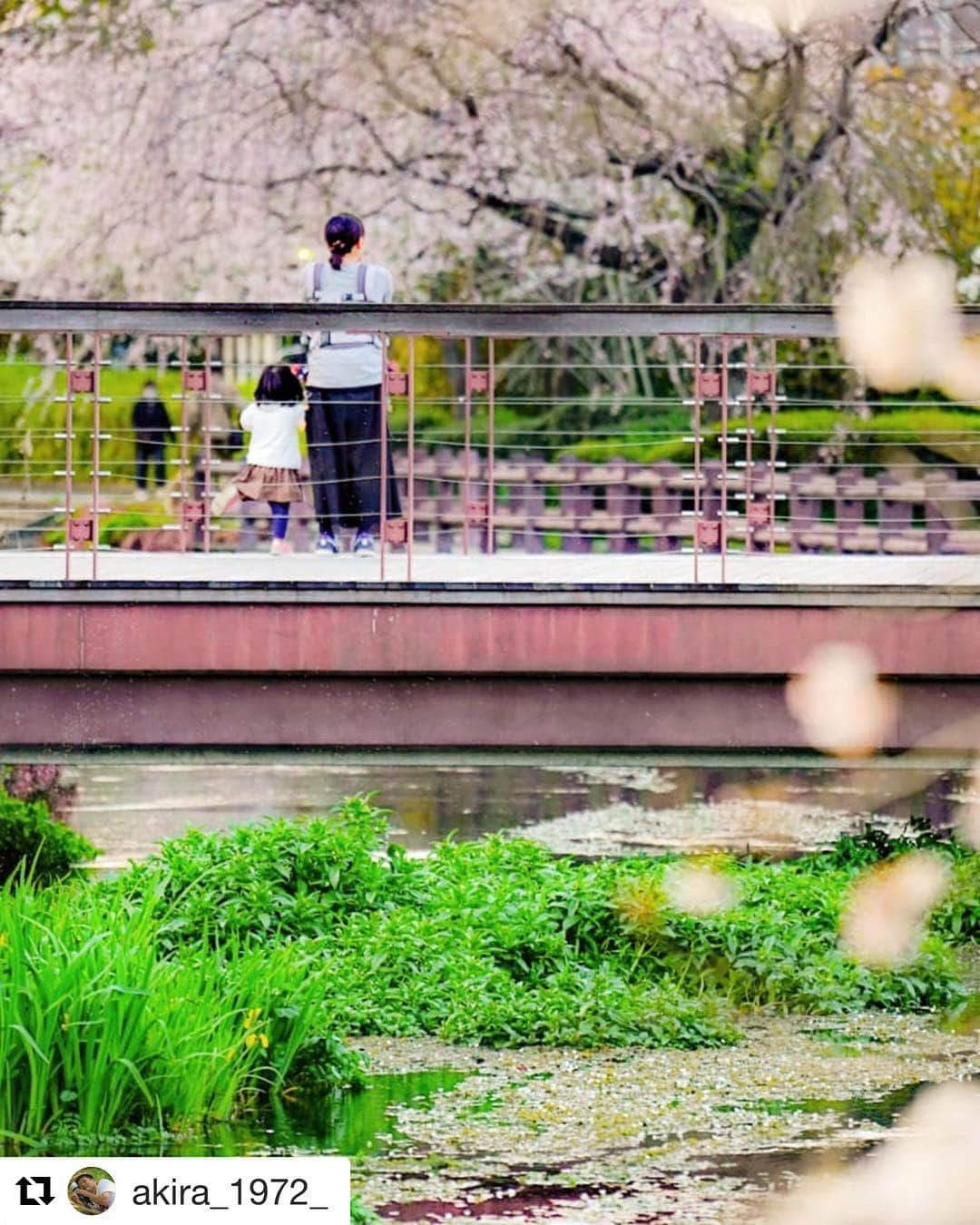 西条市のインスタグラム