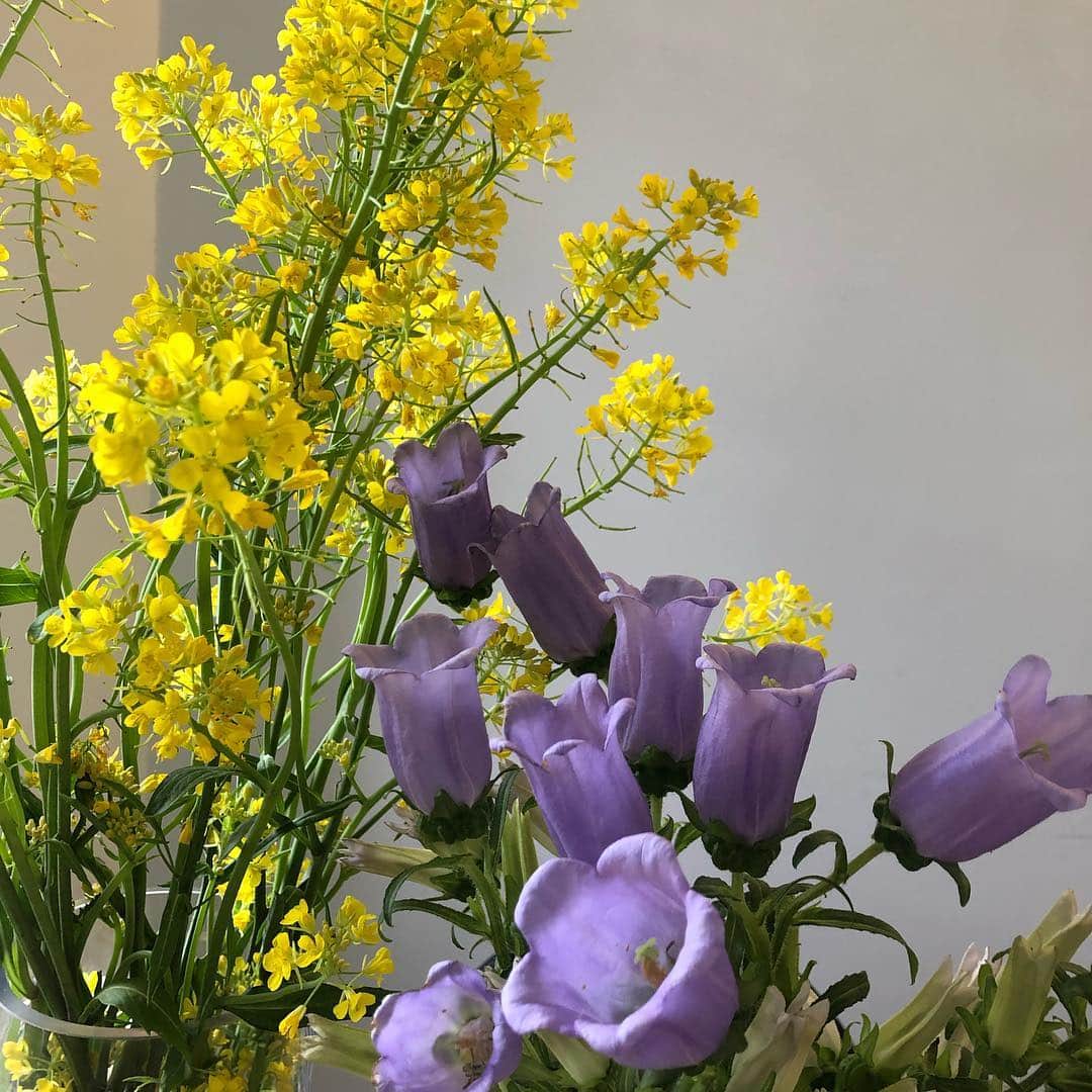 ユン・スンアさんのインスタグラム写真 - (ユン・スンアInstagram)「_ 꽃의 힘은 아름답다. 자꾸만 보고 미소가 지어진다. _______어제의 라페트의 흔적」4月14日 13時41分 - doflwl