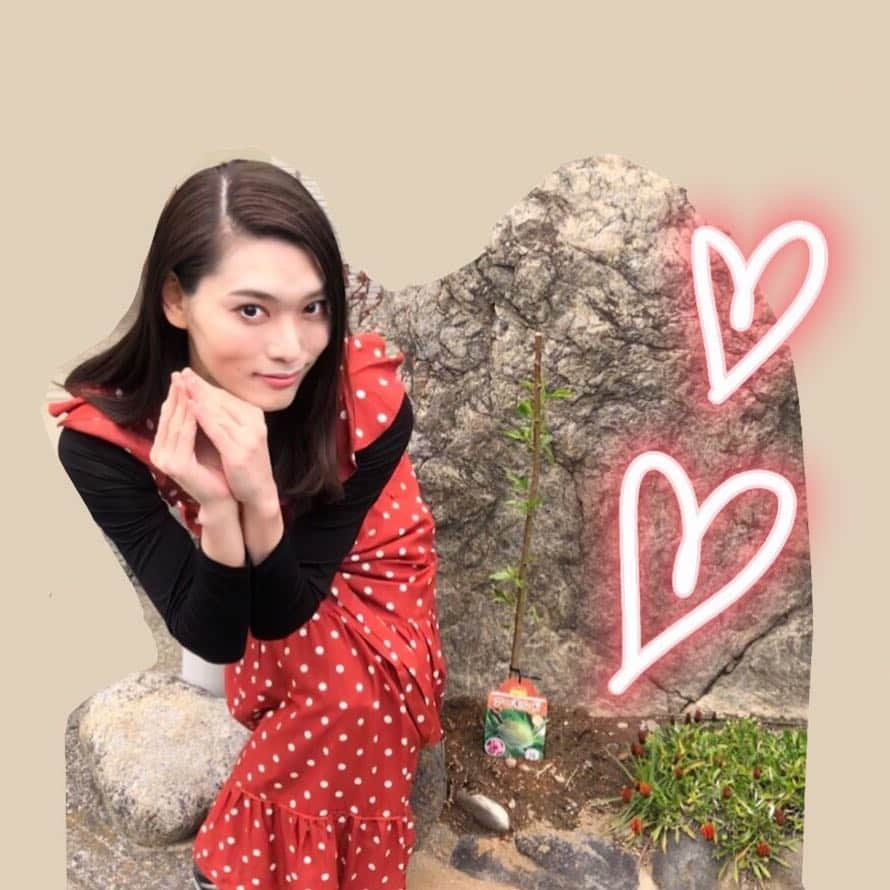 天玲美音さんのインスタグラム写真 - (天玲美音Instagram)「アーモンドの花を育てていたら... 私がアーモンドになっちゃいました😆👏🤣 ✨アーモンド美音✨ . それにしても、育つの早いっ！！！！！😂 . お名前まだまだ募集しています 〜#今夜発表予定〜 . 思いついたら、教えてくださ〜い💓 . MION Heart LOVE＆SMILE #天玲美音 ❤️ . #drive #car #bike #japan #shizuoka #hamamatsu #浜松 #フルーツパーク #時之栖 #はままつフルーツパーク #苗 #アーモンドの花 #miontenrei #アーモンド #fashion #coordinate #ootd #love #smile #flower #instaflower #instagood #yolo ❤️ 残りの日曜日もHappyにお過ごしください✨」4月14日 14時12分 - miontenrei