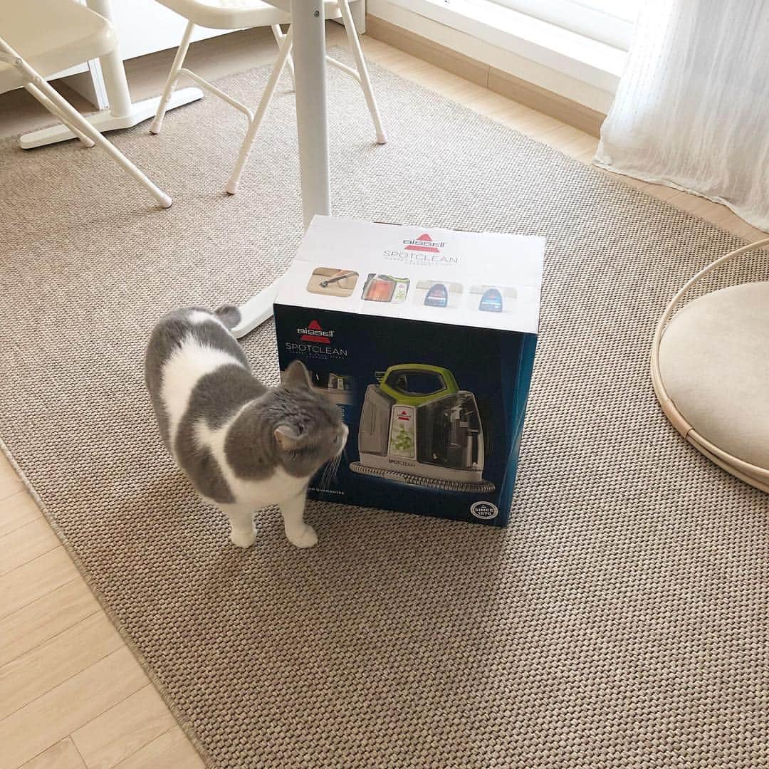 ギモのインスタグラム