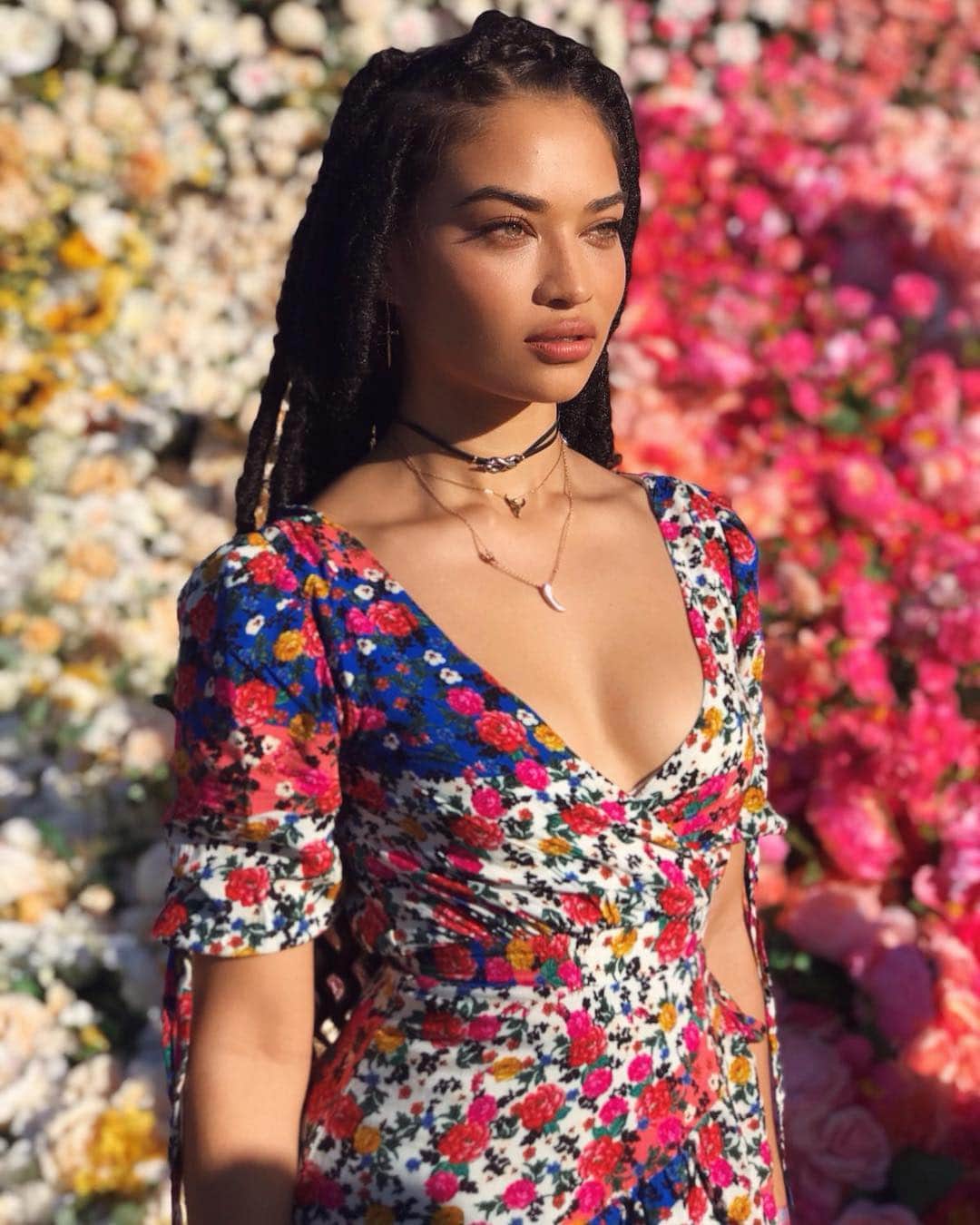 シャニーナ・シャイクのインスタグラム：「matching backgrounds 💐」