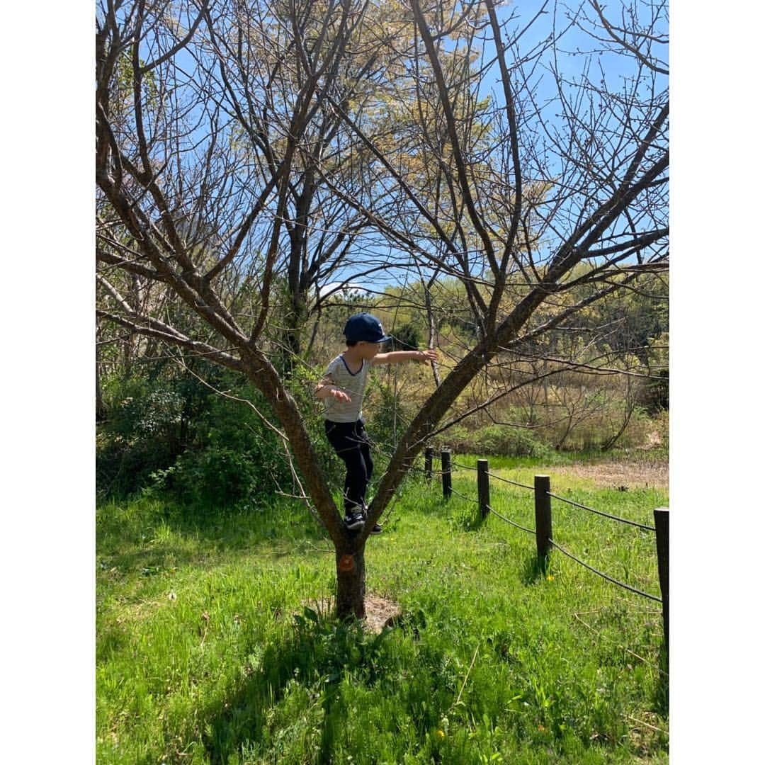 空木マイカさんのインスタグラム写真 - (空木マイカInstagram)「昨日は東山の森の里山へ。 初めて行ったんだけどこんなに素敵なところがあったなんてびっくり！来ている人達がみんな仲良しで、初めての私たちもすぐにその輪に入れてくれて、大人も子どももみんな生き物に詳しくて。一緒にザリガニ釣りさせてもらったり、オタマジャクシもらったり、エビ取ったりして帰ってきました。 ･ 帰ってきてからインドア派の息子が「次いつ行く？明日も行こうよ〜！」とずっと言ってます😏 #子どものいる暮らし  #3歳 #5歳 #里山 #東山の森」4月14日 14時56分 - maika_utsugi