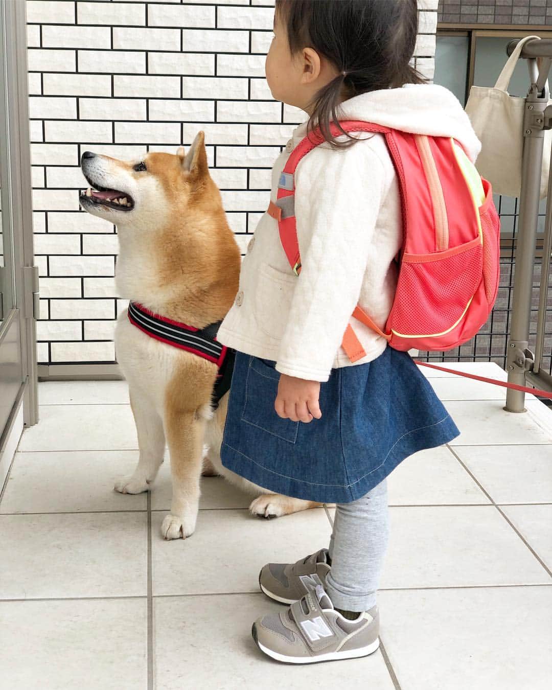せんべえのインスタグラム