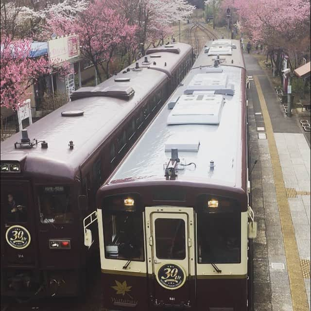 富所哲平さんのインスタグラム写真 - (富所哲平Instagram)「小夜戸大畑花桃まつり 来週くらいまでは、まだまだ全然、お花を楽しめます♪  #いろどりみどり市 #わたらせ渓谷鐵道 #わ鐡  #花桃 #桜 #平成」4月14日 15時35分 - tomitetsu823