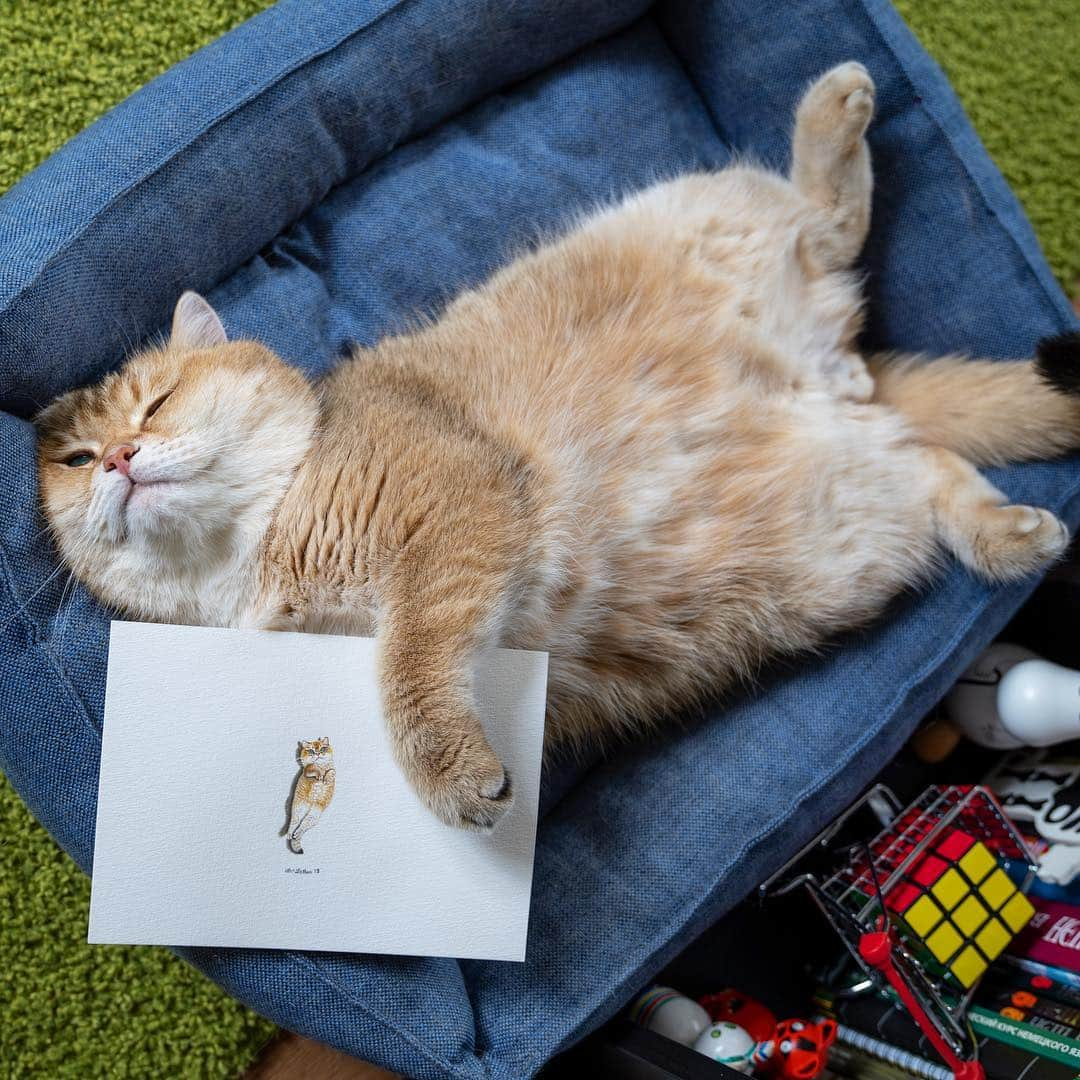 Hosicoさんのインスタグラム写真 - (HosicoInstagram)「Me and my micro portrait 🧡 Thank you @chrismclellanart 👩🏻‍🎨」4月14日 16時00分 - hosico_cat