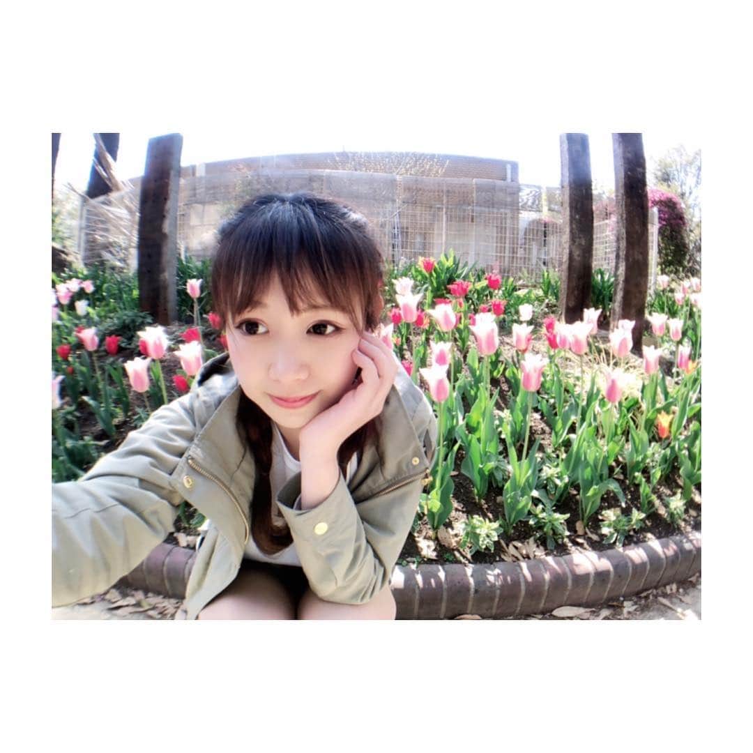 小河結香さんのインスタグラム写真 - (小河結香Instagram)「チューリップ🌷💋💄❤️ #チューリップ #お散歩 #小春日和 #名城公園」4月14日 16時18分 - yun2world