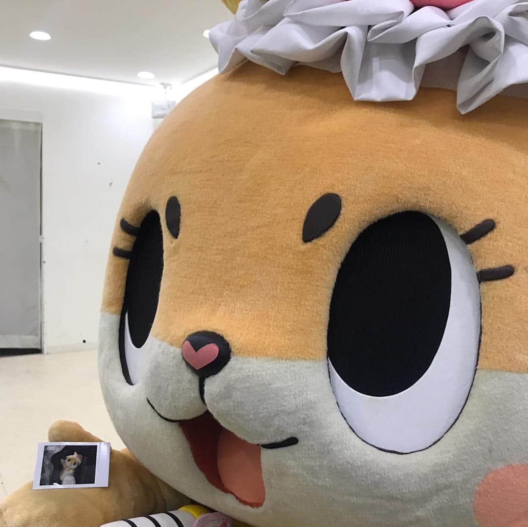 ちぃたん☆のインスタグラム