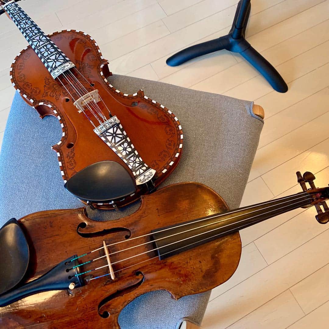Akeboshiのインスタグラム：「ミニアルバムのレコーディング（7） #酒井絵美  #violin  #fiddle  #hardingfele」