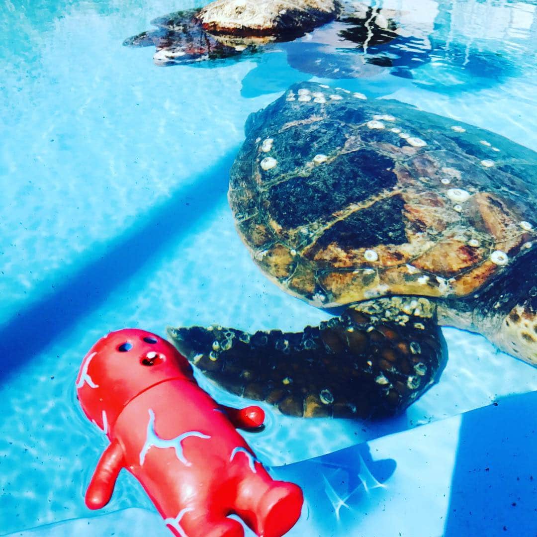 デハラユキノリさんのインスタグラム写真 - (デハラユキノリInstagram)「旅 水族館 Journey  aquarium」4月14日 17時24分 - deharayukinori