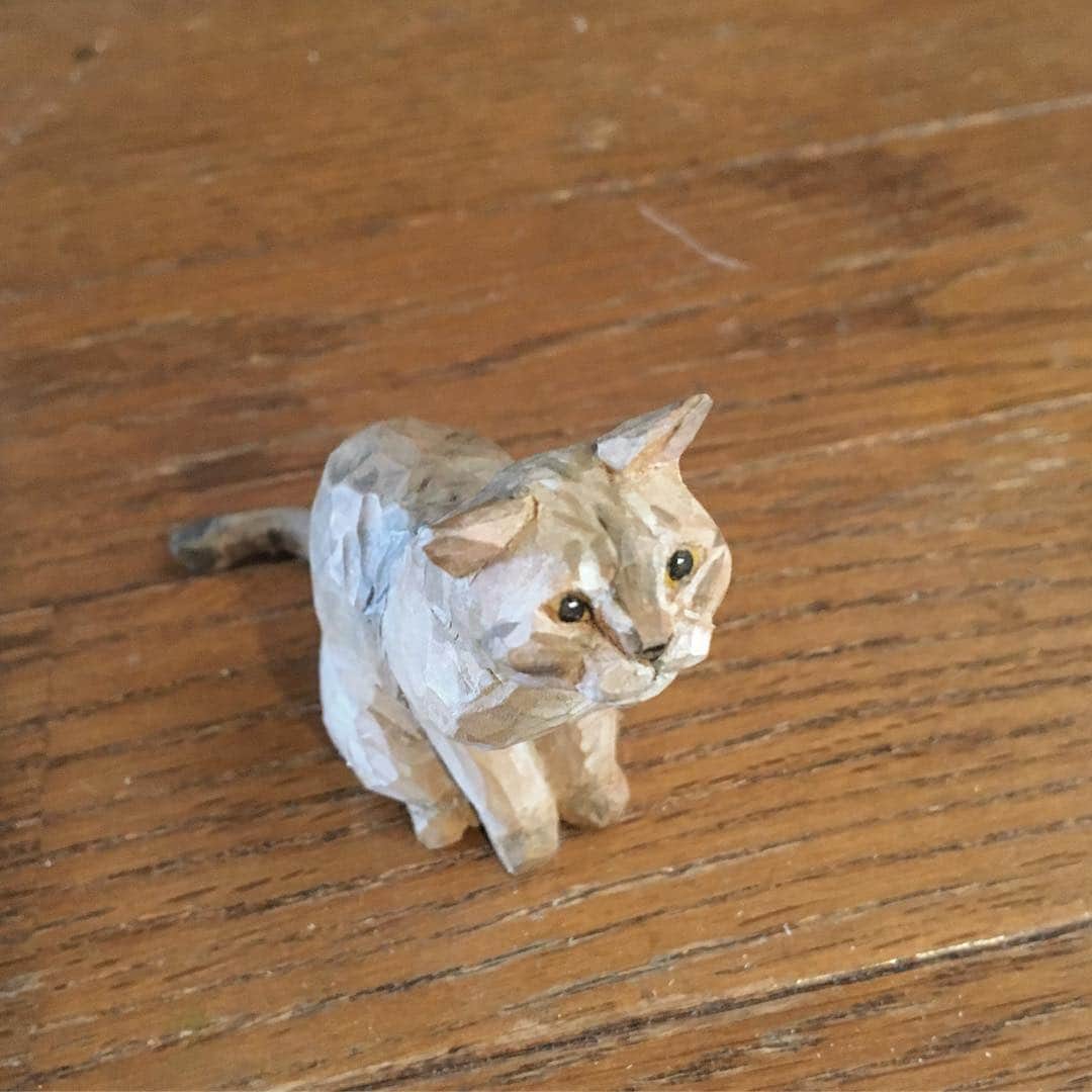 yamanekoさんのインスタグラム写真 - (yamanekoInstagram)「いつもウチのモッチリした猫が基準となっているので、スリムな猫を彫ろうとするとかなり苦しみます。  @zakka_tsugumi さんに居ます😺  #シンガプーラ#猫#ねこ部 #猫彫り #cat #catstagram #catsofinstagram #ねこすたぐらむ #バンナイリョウジ」4月14日 17時29分 - yamaneko5656