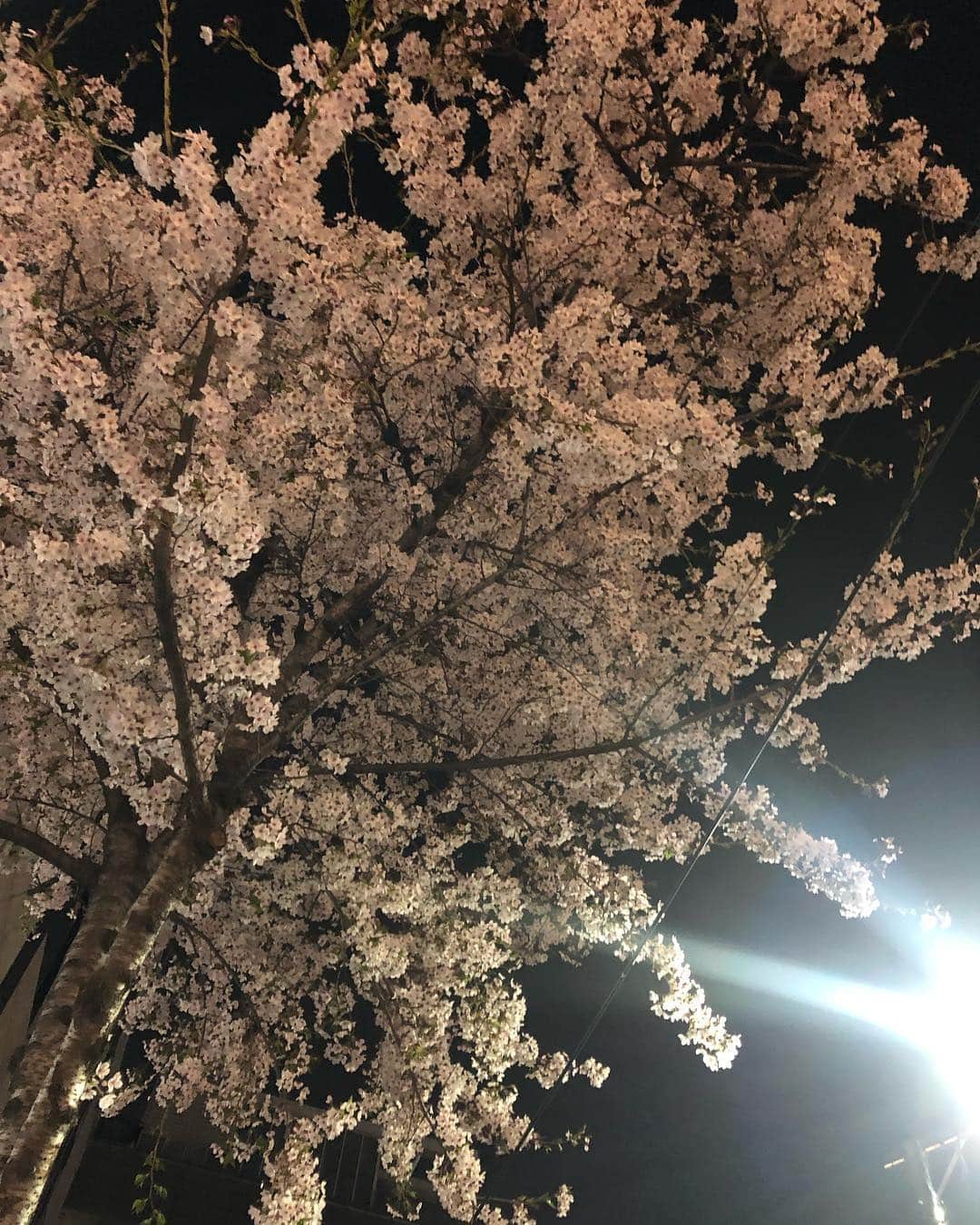 佐藤かよのインスタグラム