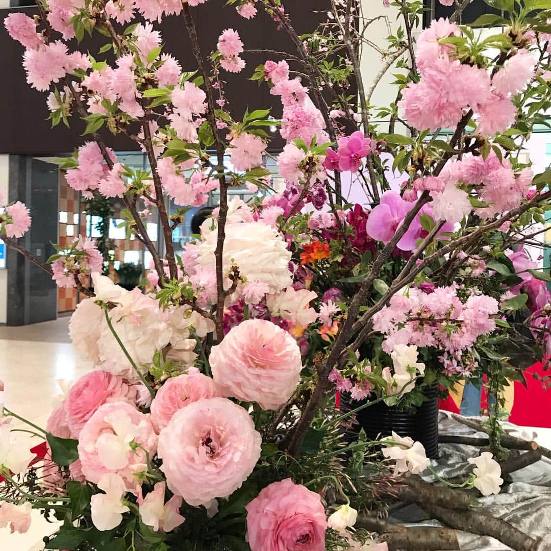 kyoco_ococさんのインスタグラム写真 - (kyoco_ococInstagram)「今年はいろんな場所で桜が見れて幸せだったな☺️🌸 子供達にも日本の素晴らしい四季をたくさん感じてほしいな✨ . #sakura#flowers#flowerstagram#instagood#instadaily#beautyful#cherryblossom#桜#花のある暮らし#花見#春」4月14日 17時41分 - kyocoococ