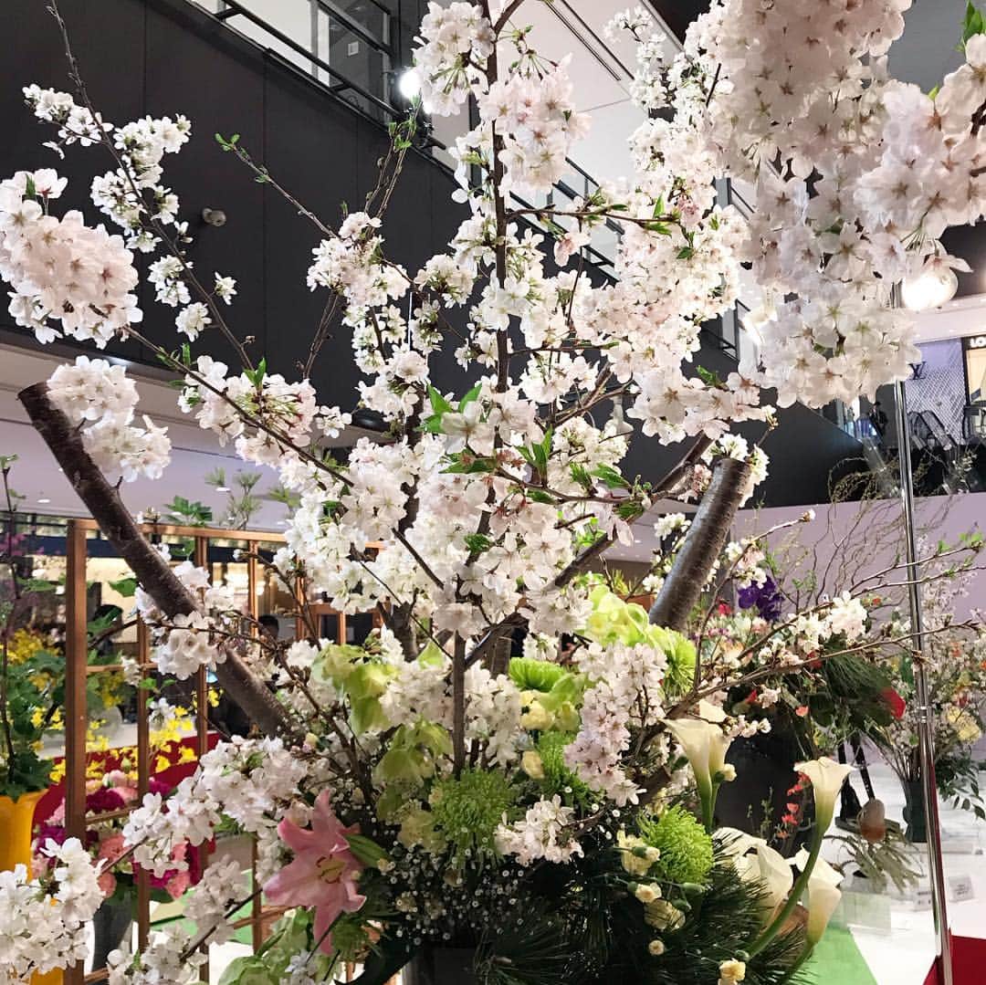 kyoco_ococさんのインスタグラム写真 - (kyoco_ococInstagram)「今年はいろんな場所で桜が見れて幸せだったな☺️🌸 子供達にも日本の素晴らしい四季をたくさん感じてほしいな✨ . #sakura#flowers#flowerstagram#instagood#instadaily#beautyful#cherryblossom#桜#花のある暮らし#花見#春」4月14日 17時41分 - kyocoococ