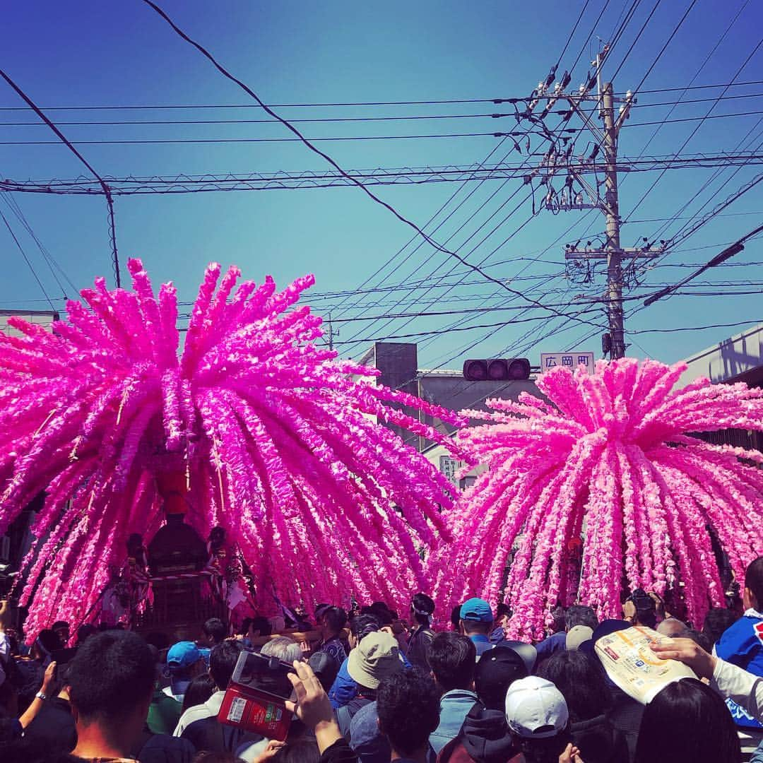 板谷由夏 さんのインスタグラム写真 - (板谷由夏 Instagram)「岐阜県美濃市のお祭りへ 伝統工芸品である美濃和紙を ピンク色に染めて花神輿となります。 町によってそのピンクが異なる。 大好きなお祭りです。 元気もらった。」4月14日 17時54分 - yukaitaya