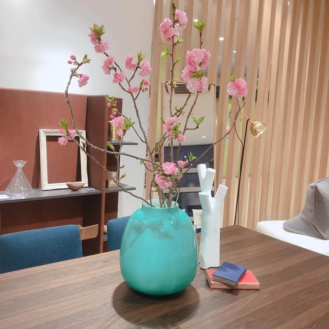 ligne roset shopのグルメインスタ