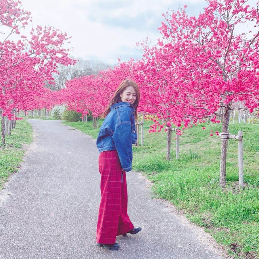 池山智瑛さんのインスタグラム写真 - (池山智瑛Instagram)「. 春散歩🌷 . #ootd #outfit #outfitoftheday #fashion #ファッション #패션 #ジージャン #frayid #sly #春コーデ #大人可愛い #大人カジュアル #カジュアル #photooftheday #写真好きな人と繋がりたい #花 #自然 #名古屋 #お出かけ #instagood #instafashion #fashionista #今日の服 #followme」4月14日 18時24分 - chu_chiaki