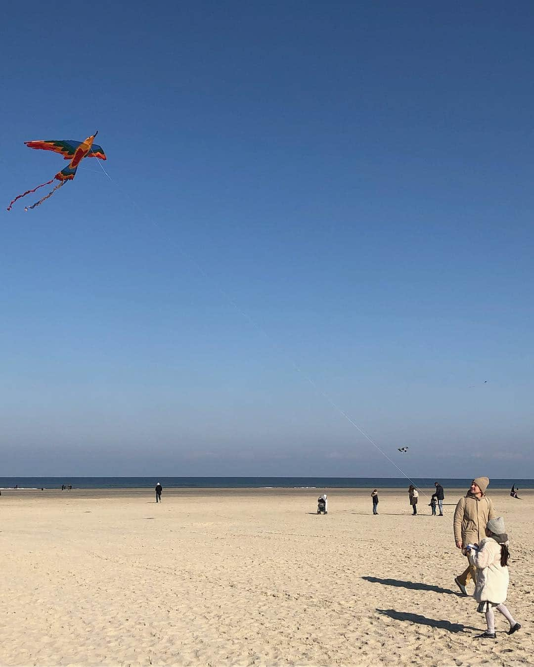 フィロとポンポンさんのインスタグラム写真 - (フィロとポンポンInstagram)「1er cerf-volant Sur la plage de Berck, il fait froid à cause du vent... mais heureusement... ☀️🌬 Rencontres Internationales de cerfs-volants de Berck.」4月14日 18時37分 - philo_pompon