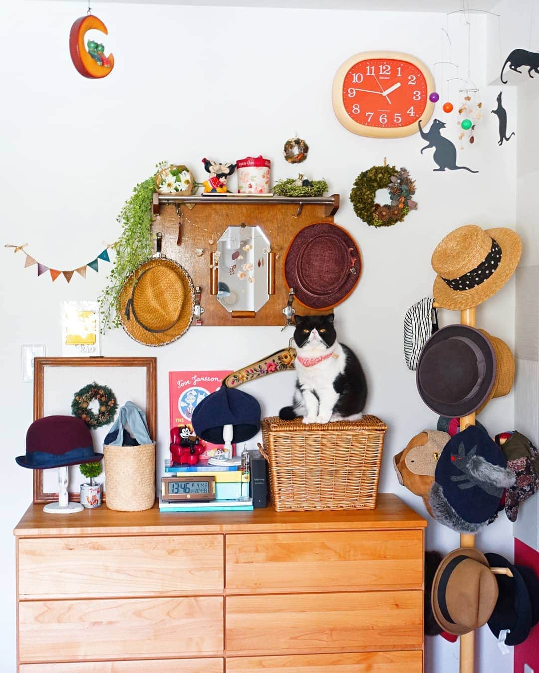 なっつ。さんのインスタグラム写真 - (なっつ。Instagram)「👒 ①ぬいぐるみみたいな おぷぃちゃんどーこだ。 ②正解は２枚目♥️ . . 今日の昼間は寝室の模様替え😊 小さな帽子屋さんをテーマに いらない帽子を捨てたり、 並び替えたり、 猫の手いっぱい貸すよーな ぷにぽぽ。の誘惑に惑わされ 作業が難航したり(笑) でとりあえずこんな感じになった。  お気に入りのヴィンテージの 壁掛けフックには これからの時期使えそうな 帽子を飾ってみた。  わたし帽子がすっごく好きで 大抵、仕事以外は ほぼ帽子を被って出掛けます😊 なんか安心する(笑) #おぶすが誤魔化されるからともいうw  しばらくはこの配置を楽しもうっと♥️ ・ ・ ・ #アンティーク#ヴィンテージ#vintage#antique#レトロ#時計#seiko#帽子#寝室#bedroom」4月14日 18時31分 - punipopo