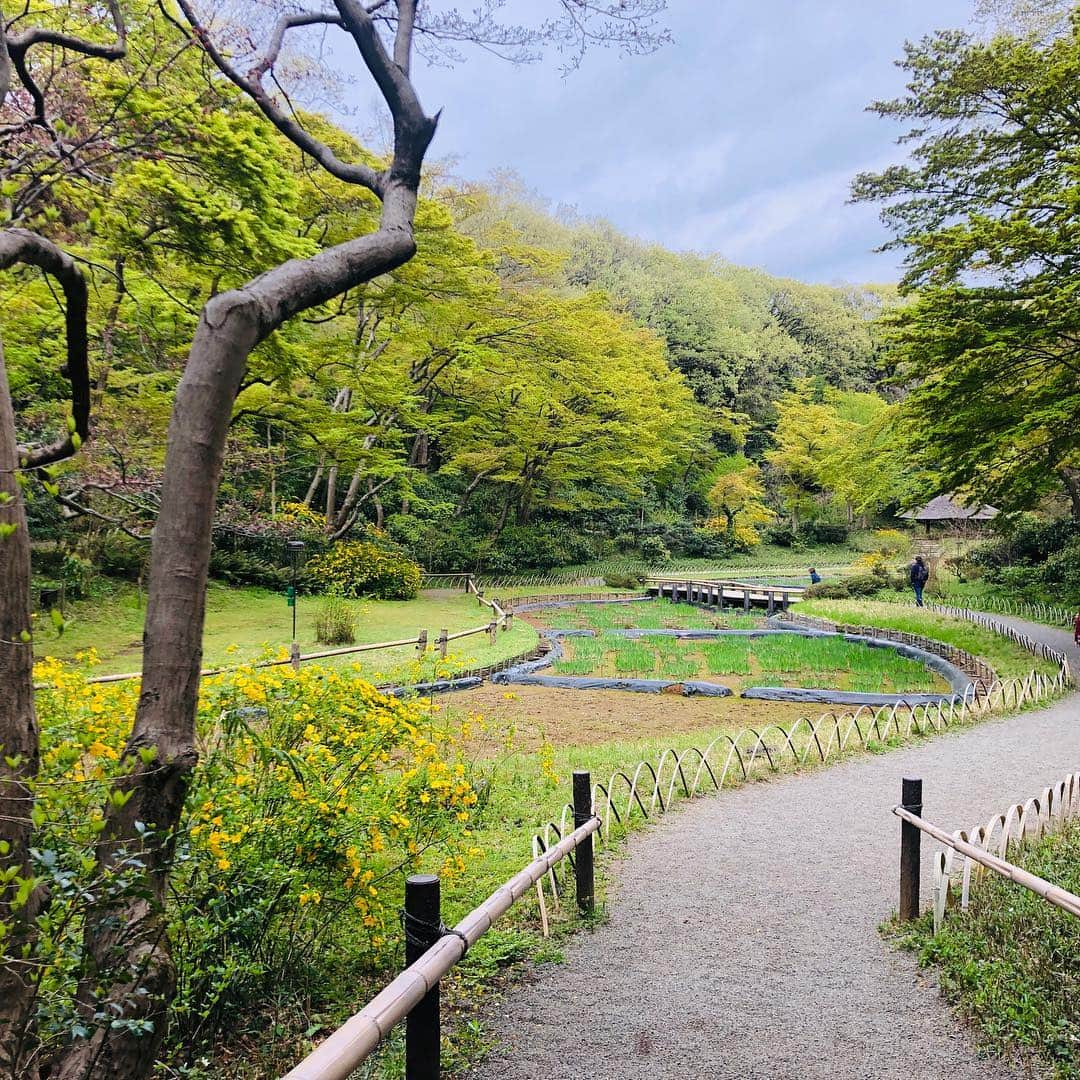 Hiroe Hiranoさんのインスタグラム写真 - (Hiroe HiranoInstagram)「日本に帰国して、そのまま来日されているカリフォルニア観光局チームの皆様をアテンドさせていただきまして⭐️ 早朝の明治神宮から→表参道ビルズ @billsjapan で朝ごはん。 原宿や表参道をご一緒に。桜も見れたし🌸 . すごく良い経験をさせてもらっています。 夜はカリフォルニア各観光局の方々があつまりBIGパーティ🍷 たくさんの方々とのご縁が広がりました。 また彼らと6月にアメリカで集合🇺🇸⭐️ . 美容業界に長くいる私にとって、 新たなチャレンジを今年させていただいています。 ありがたすぎる😭そこで、待ちに待った嬉しいニュース❗️ この経験がまた循環していくのだよ。 . 久しぶりにパークハイアットへ。 ちょうどサンセットが美しすぎて、見とれてしまった🌞 太陽の力は偉大だぁ。日本も美しいなぁ🇯🇵 . しかし、3週間かなりのタイトスケジュールで。 岡山に戻り、都内でテレビ収録→成田からシアトル →LA経由でサンタバーバラ→LA→イマココ東京。 移動距離は、●●に比例するってことで😆 . 明日はゆっくり休めそう💤 葉山に戻り富士山でも拝もう🙏おつかれ自分⭐️ . #tokyo #lifestyle #travel #california #hiroecali #平野宏枝 #beautiful #pretty #夕日 #sunset #shinjuku #新宿 #日本 #🇯🇵#日々学び #感謝  #ここから天気が良ければ富士山も見えるよ #カリフォルニア観光局 #goodpeoplegoodtimes」4月14日 18時34分 - hiroe_hirano