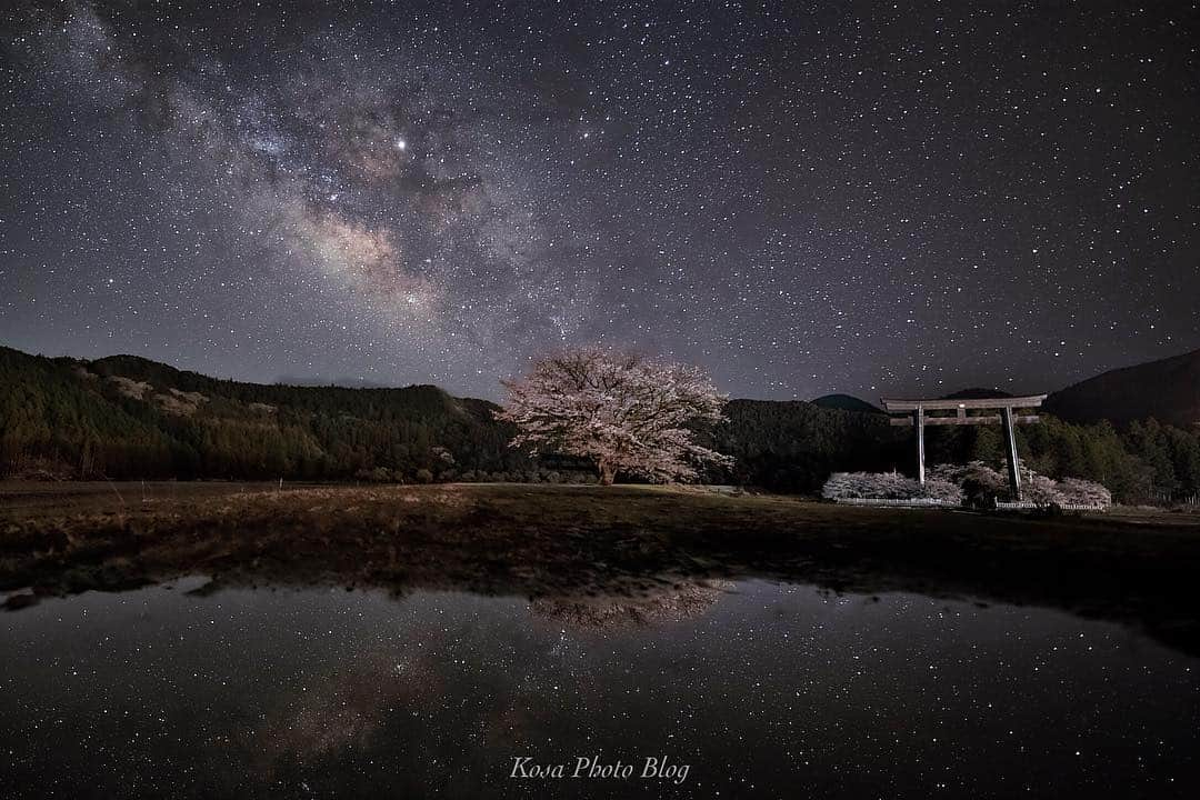 コサさんのインスタグラム写真 - (コサInstagram)「水たまりでリフレクション狙い👍 風がなくて助かりました😁 . Location:和歌山 Wakayama/Japan Data:2019.4.2 . #art_of_japan_ #tokyocameraclub #dpj_member #team_jp_ #IG_PHOS #photo_jpn #ptk_japan #pt_life_ #bestjapanpics #Lovers_Nippon #LBJ_桜2019 #apj_桜フェス2019﻿ #as_桜2019 #team_jp_春色2019 #bestjapanpics_桜2019一部 #花びら大回転2019 #rox_sp2019 #light_nikon #sorakataphoto #LBJ_members #longexposure_japan #japan_night_view_member #star_hunter_jp #桜旅のセカイ #グッドトリップ和歌山 #night_captures #shj過去 #ふるさと神社めぐり #神社フォトコンわたしと神社」4月14日 18時40分 - kosa_photo