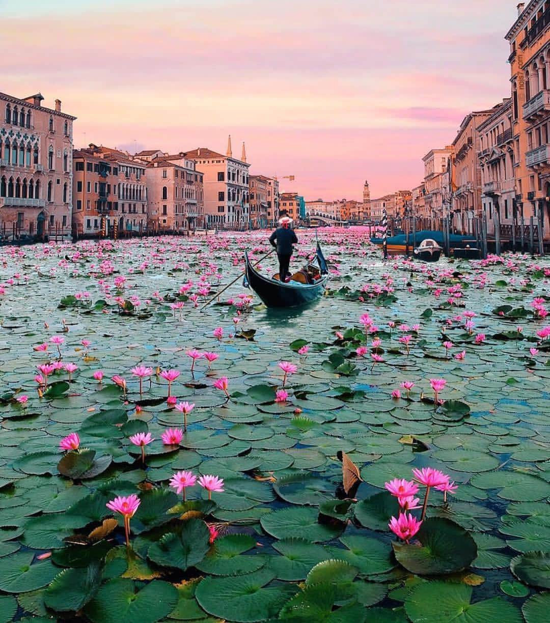 Wonderful Placesさんのインスタグラム写真 - (Wonderful PlacesInstagram)「Venice - Italy ✨💖💖💖✨ . Picture & edit by ✨✨@nois7✨✨ #wonderful_places for a feature 🌸」4月15日 4時58分 - wonderful_places