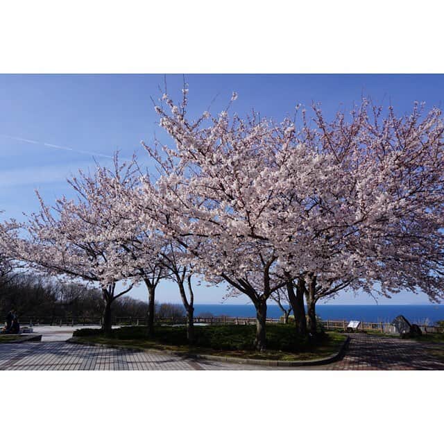 岩間瞳のグルメインスタ