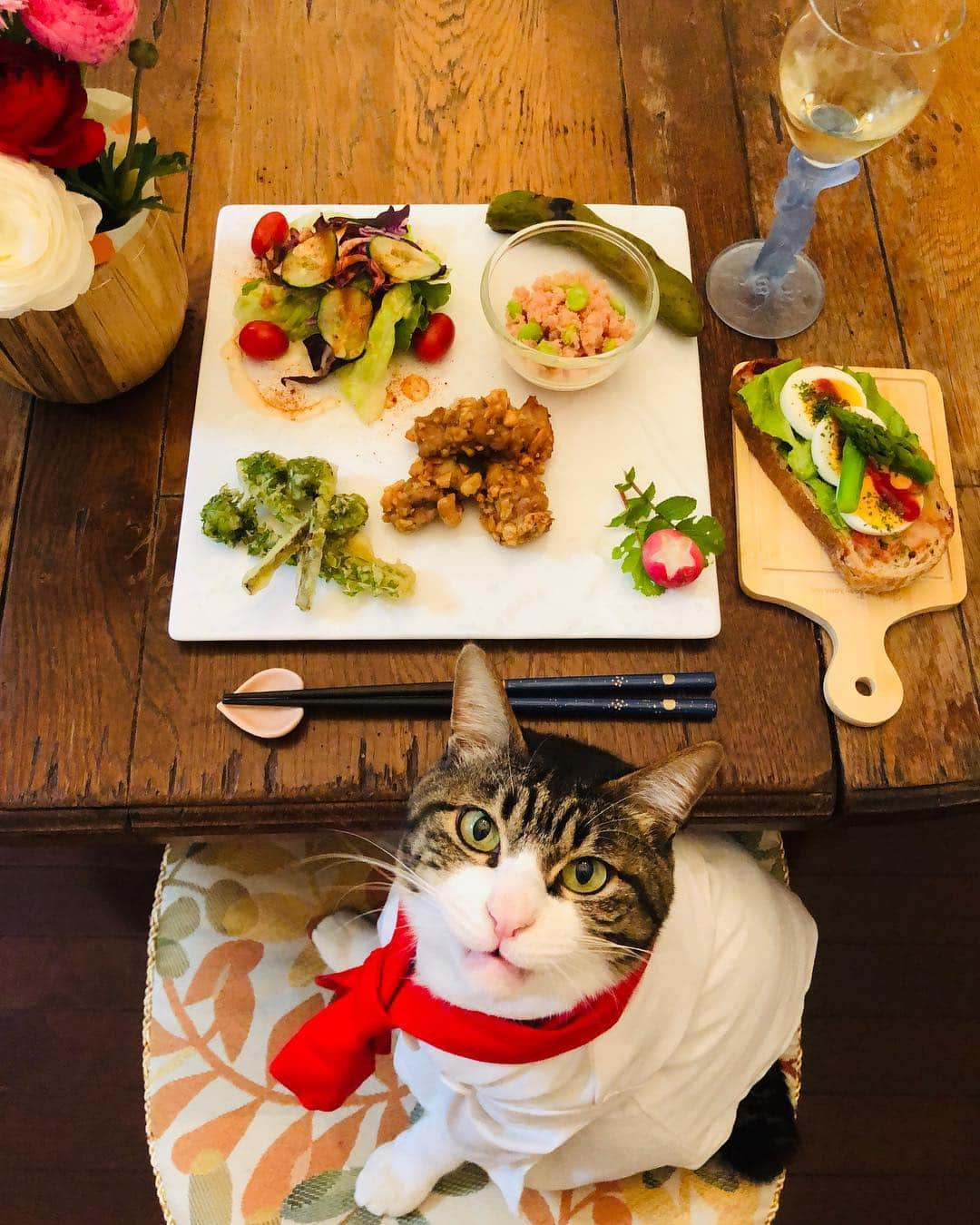 マロさんのインスタグラム写真 - (マロInstagram)「🍴Today's menu🍴 ・ピーナッツ衣のからあげ (Fried chicken(batter is peanuts) ・こごみの天ぷら (Tempura of ostrich fern) ・おからのトマトサラダ (Tomato salad of Okara(soy pulp) ・焼きそら豆 (Baked Fava beans) ・春野菜のタルティーヌ (Tarutinu of spring vegetables) ☆ いつもコメントありがとうございます😸🙏💕 返信出来ない時が多くてすみません🙇‍♀️ 全て拝見しています🐾 ☆ Thank you for your kind comments😸🙏💕 I' m sorry that I couldn't reply. ☆ #cat#cats#catsofinstagram#😻 #food#chef#wine#にゃんすたぐらむ#ねこ#ネコ#ねこ部#ふわもこ部 #猫#料理#ワンプレートごはん #ワイン#シェフ#猫がいる生活#料理猫マロ」4月14日 20時55分 - rinne172