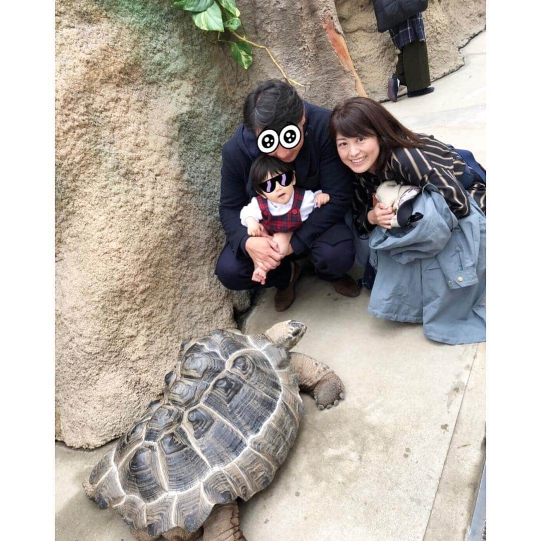 森麻季のインスタグラム